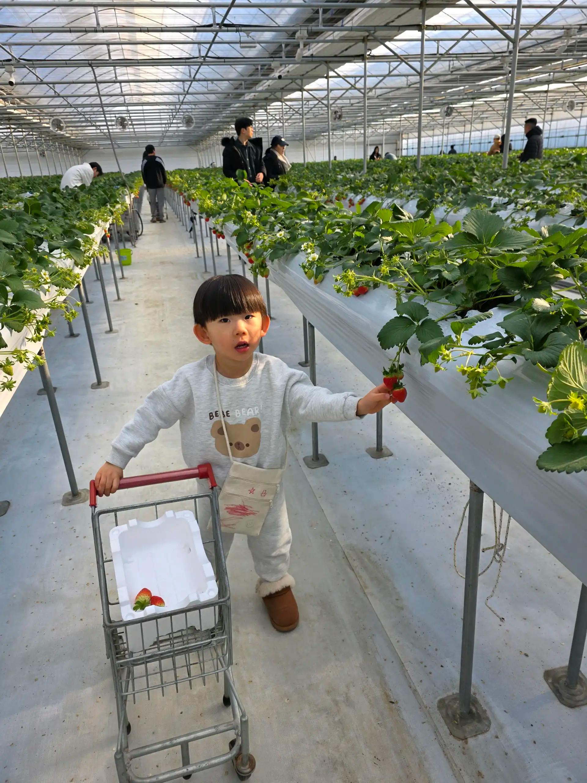 크루톡 이미지 2