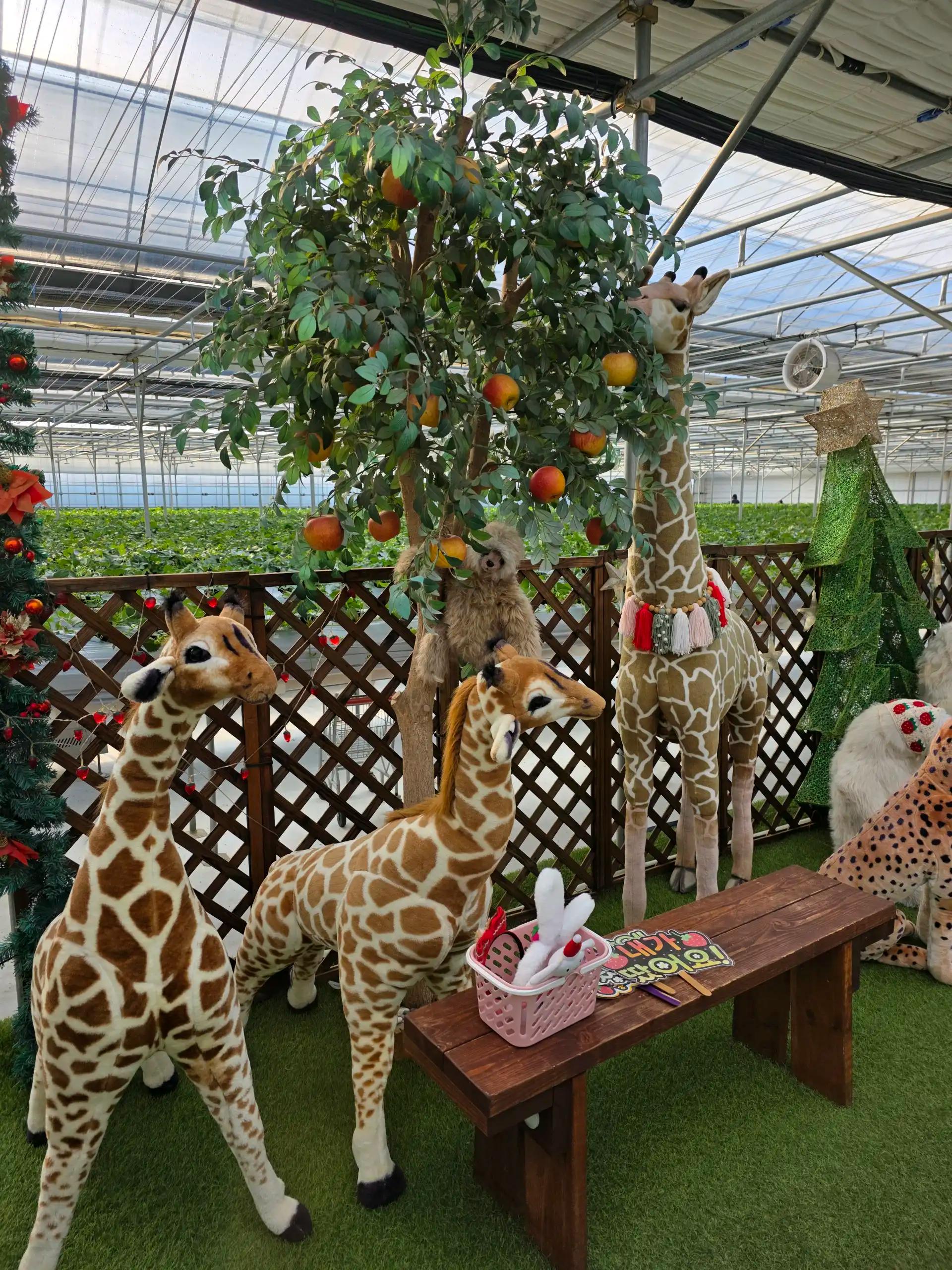 크루톡 이미지 4