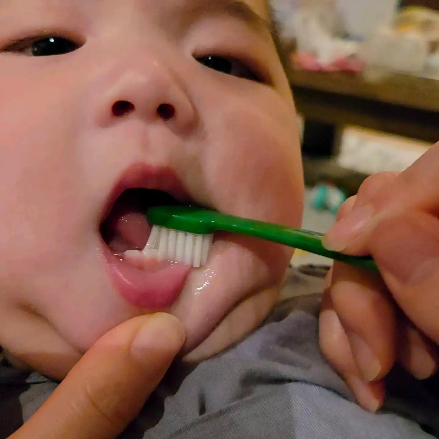 크루톡 이미지 9