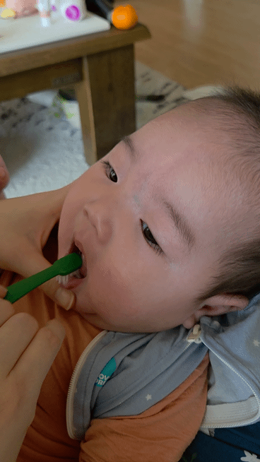 크루톡 이미지 10