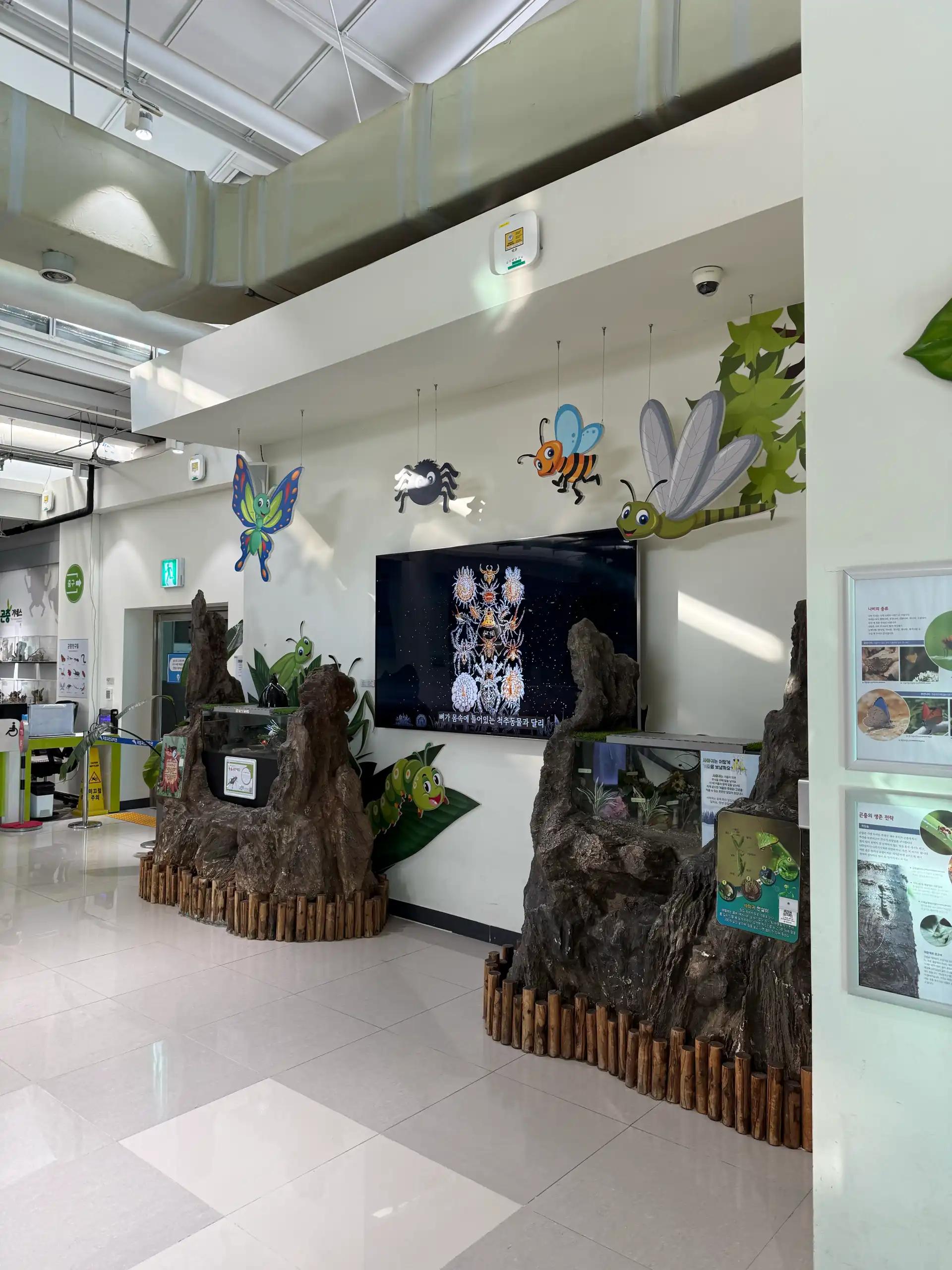 크루톡 이미지 4