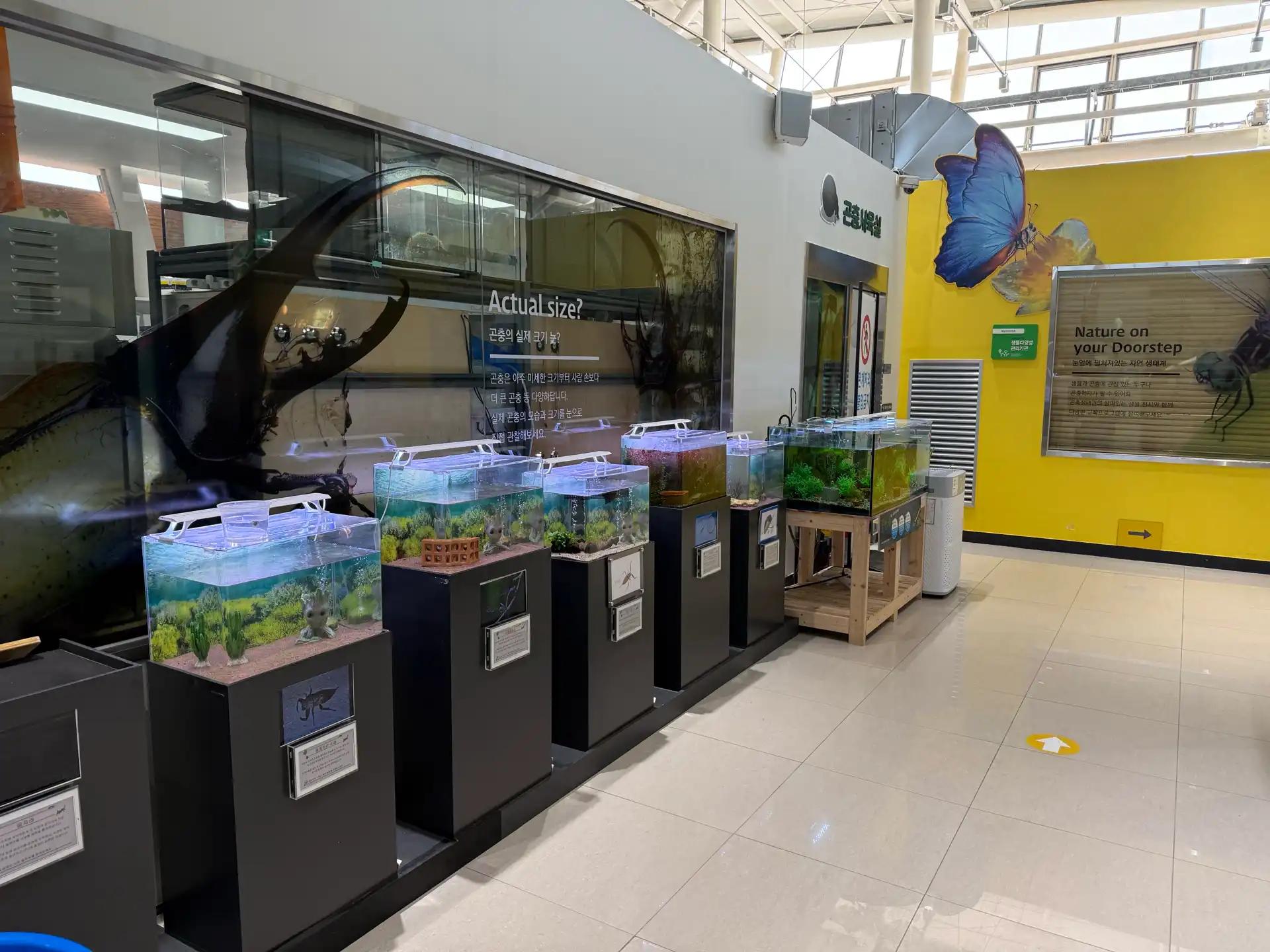 크루톡 이미지 5