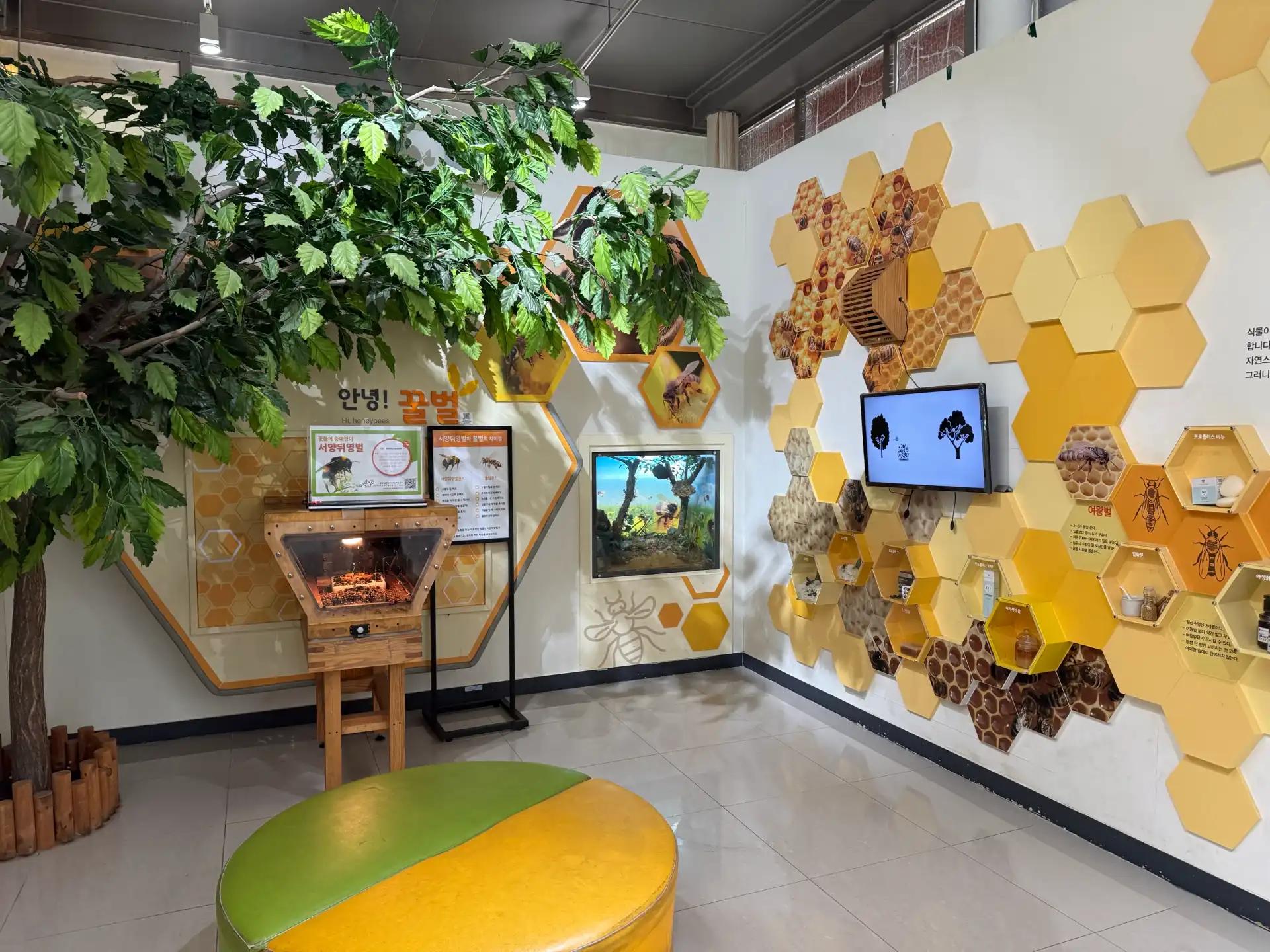 크루톡 이미지 6