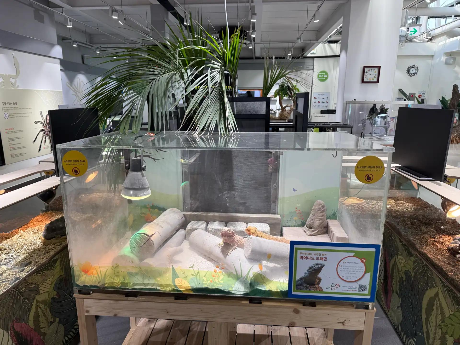 크루톡 이미지 8