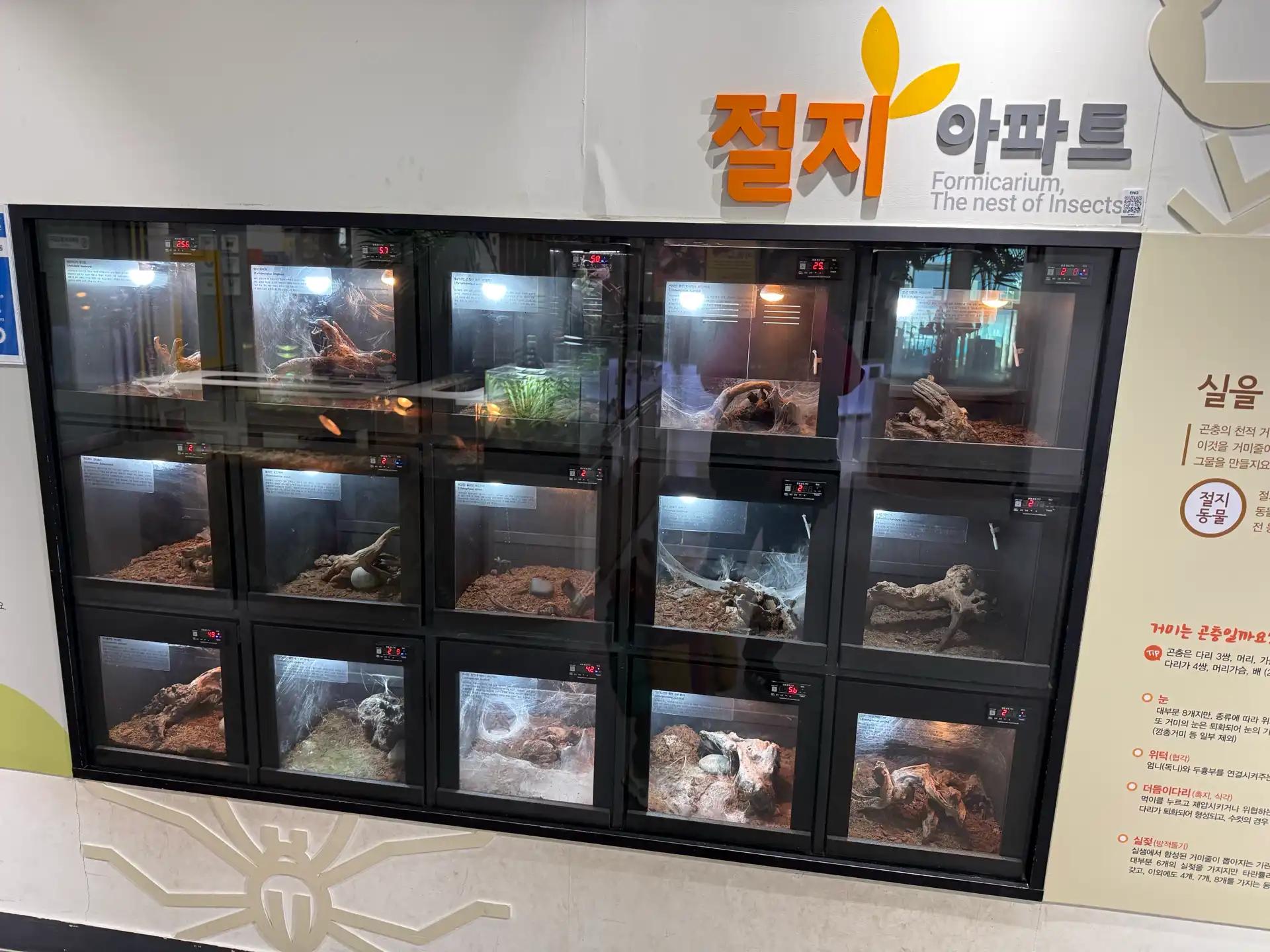 크루톡 이미지 9