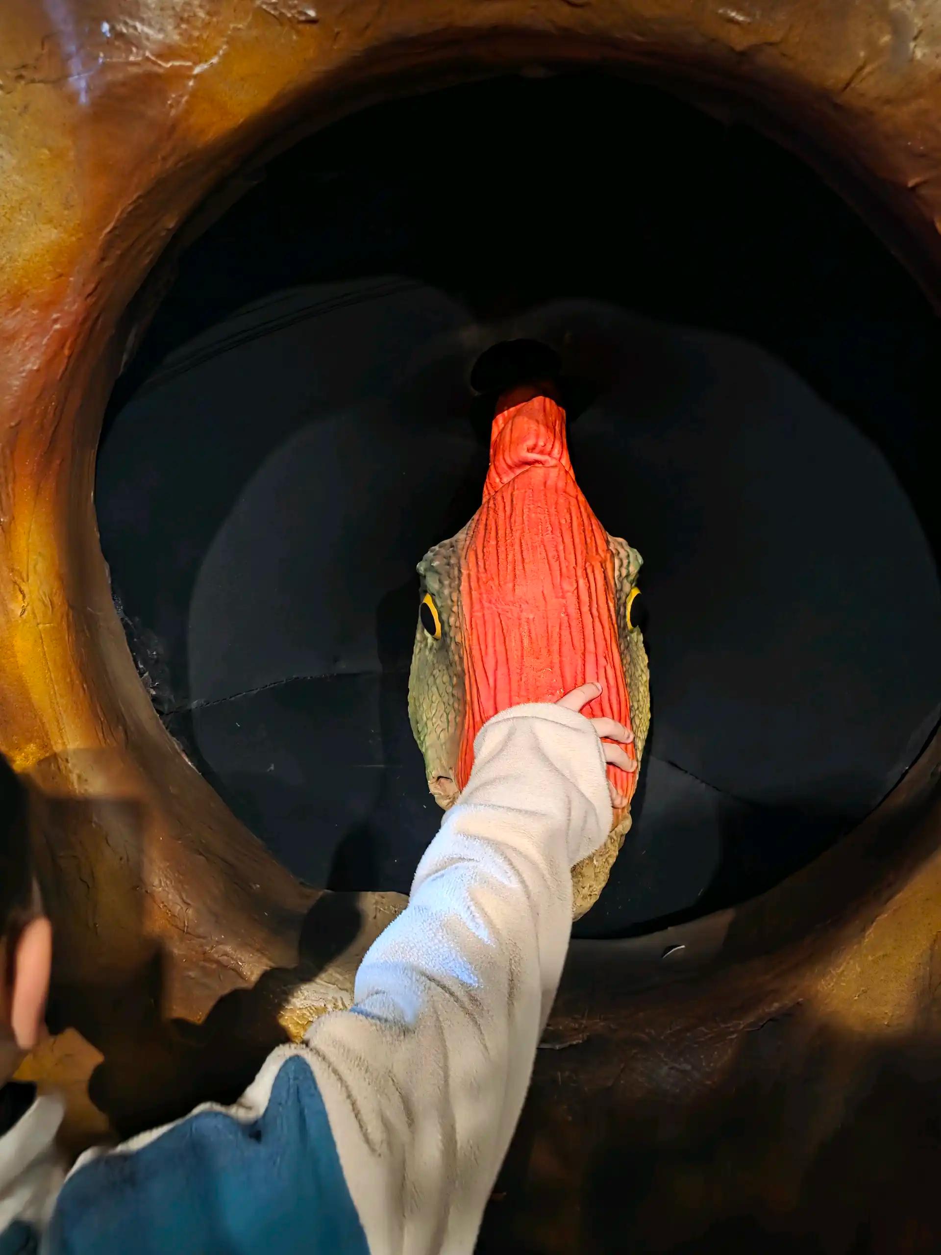 크루톡 이미지 2