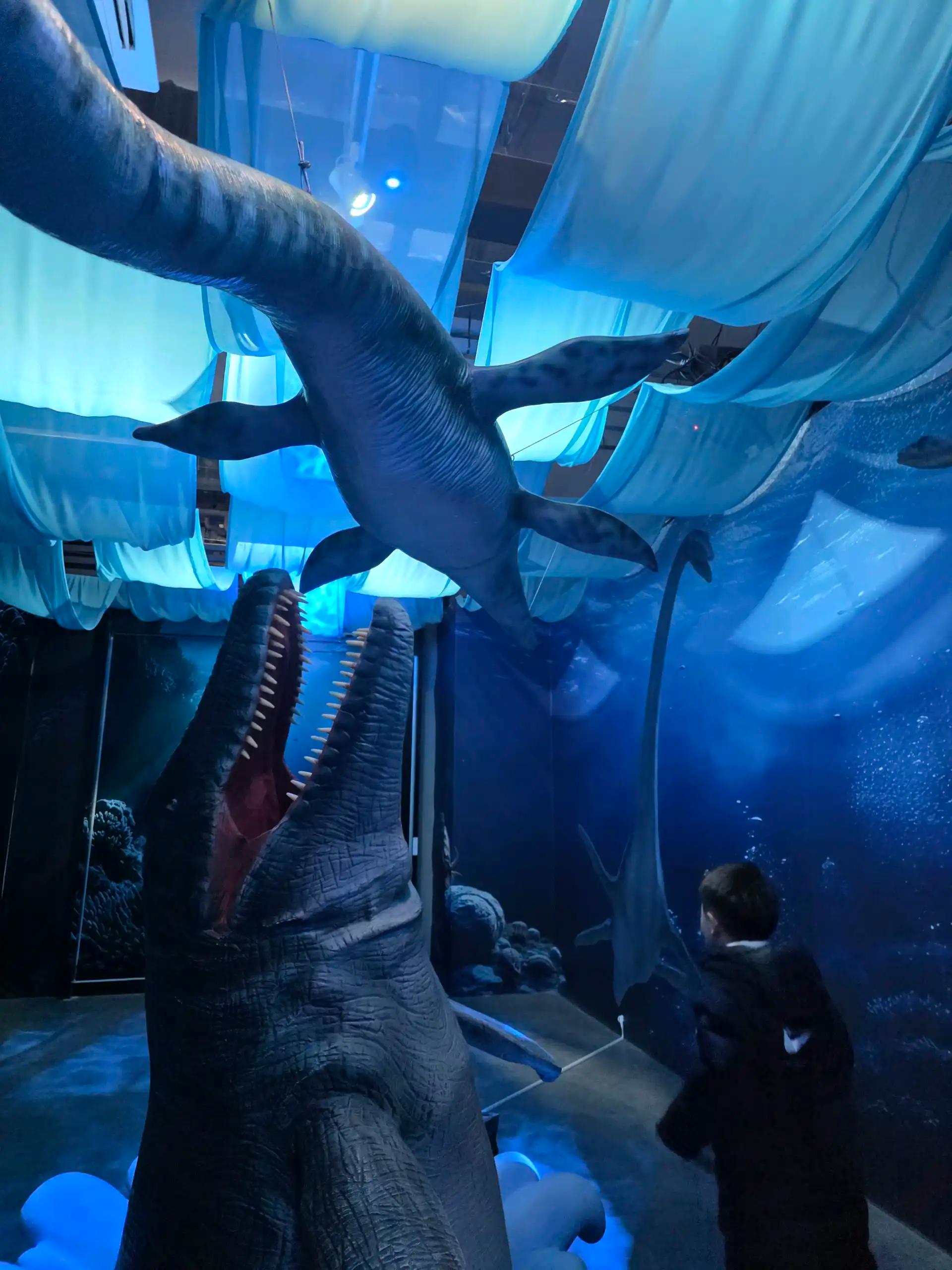 크루톡 이미지 6