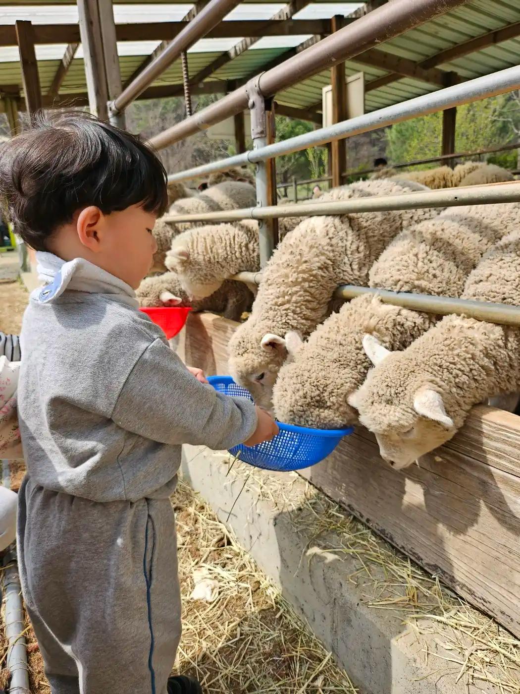 크루톡 이미지 2