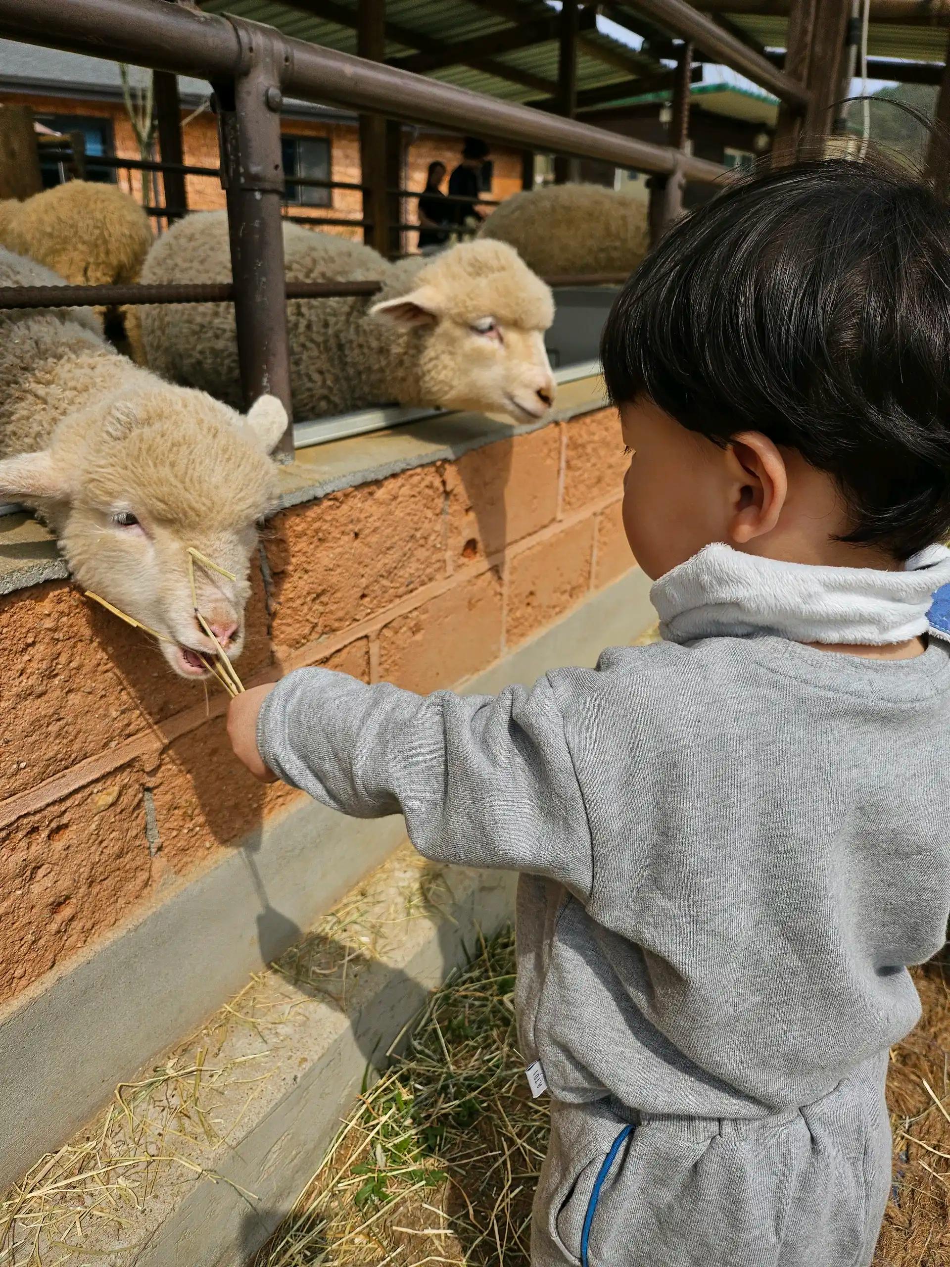 크루톡 이미지 4