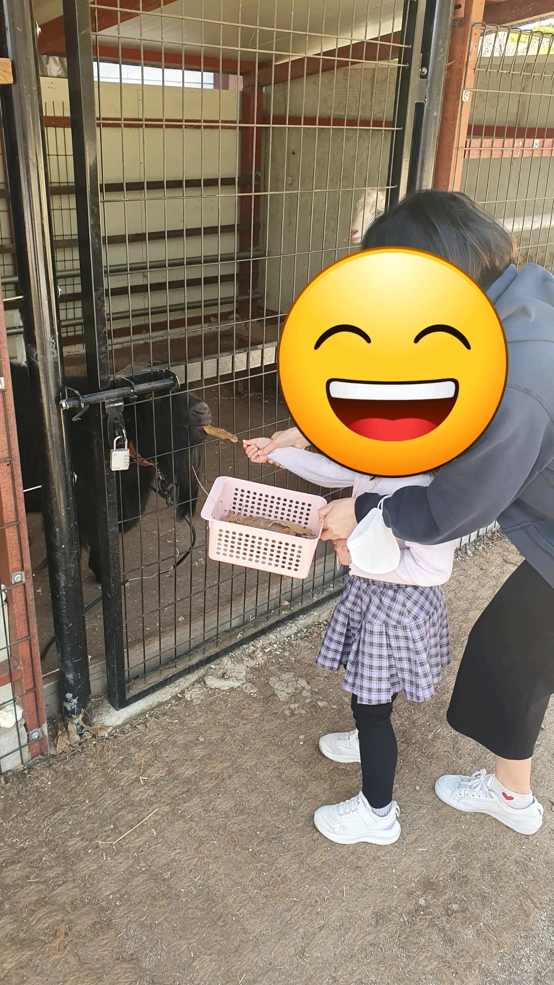 크루톡 이미지 1