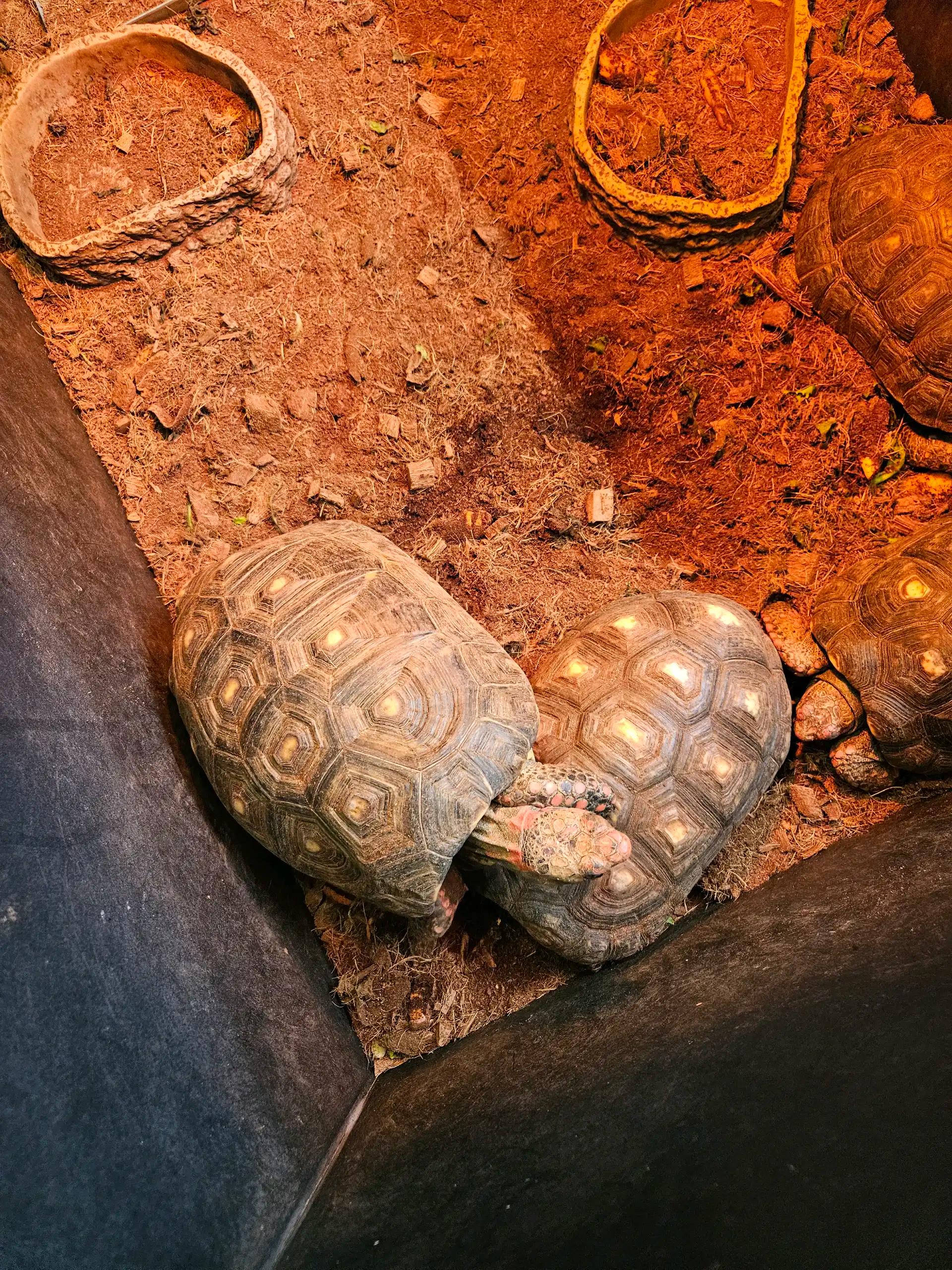 크루톡 이미지 1