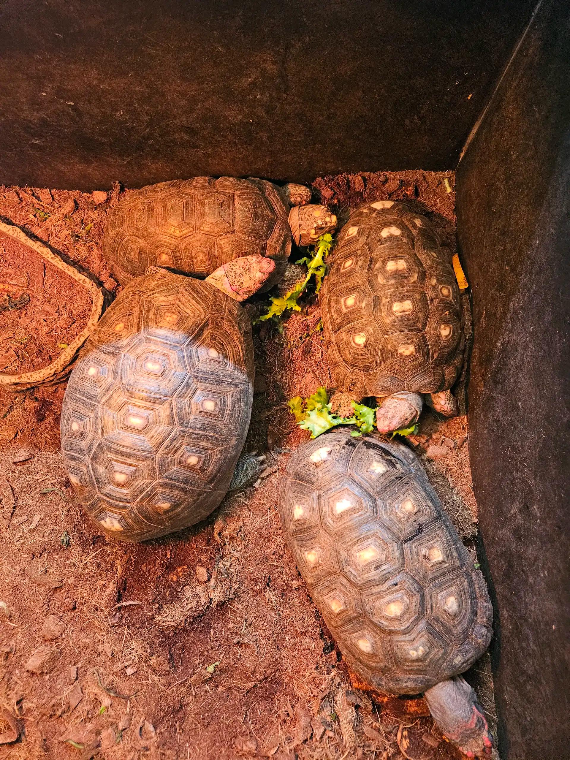 크루톡 이미지 2