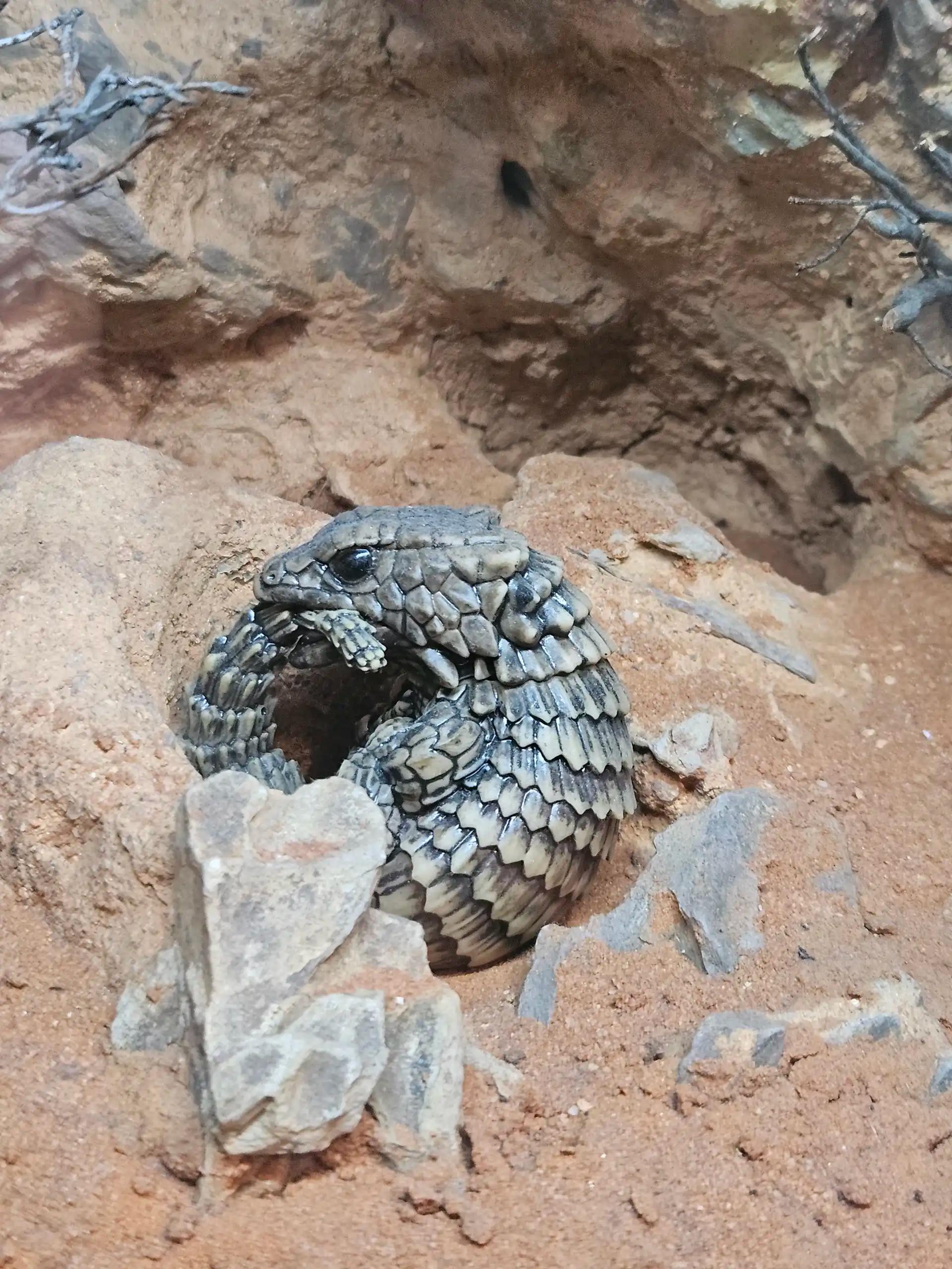 크루톡 이미지 4