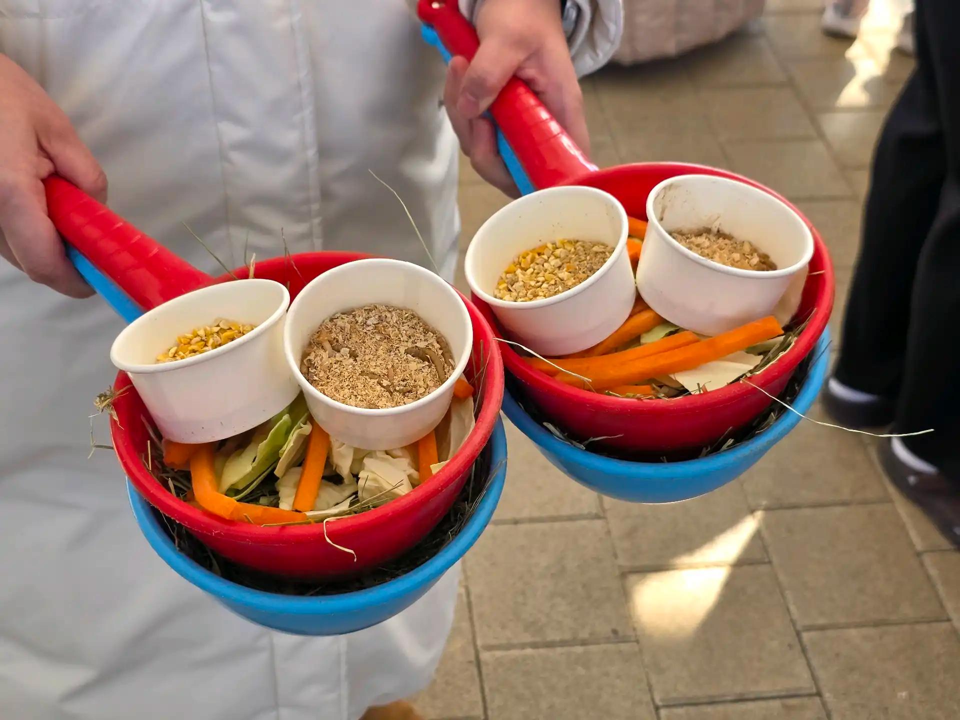 크루톡 이미지 2