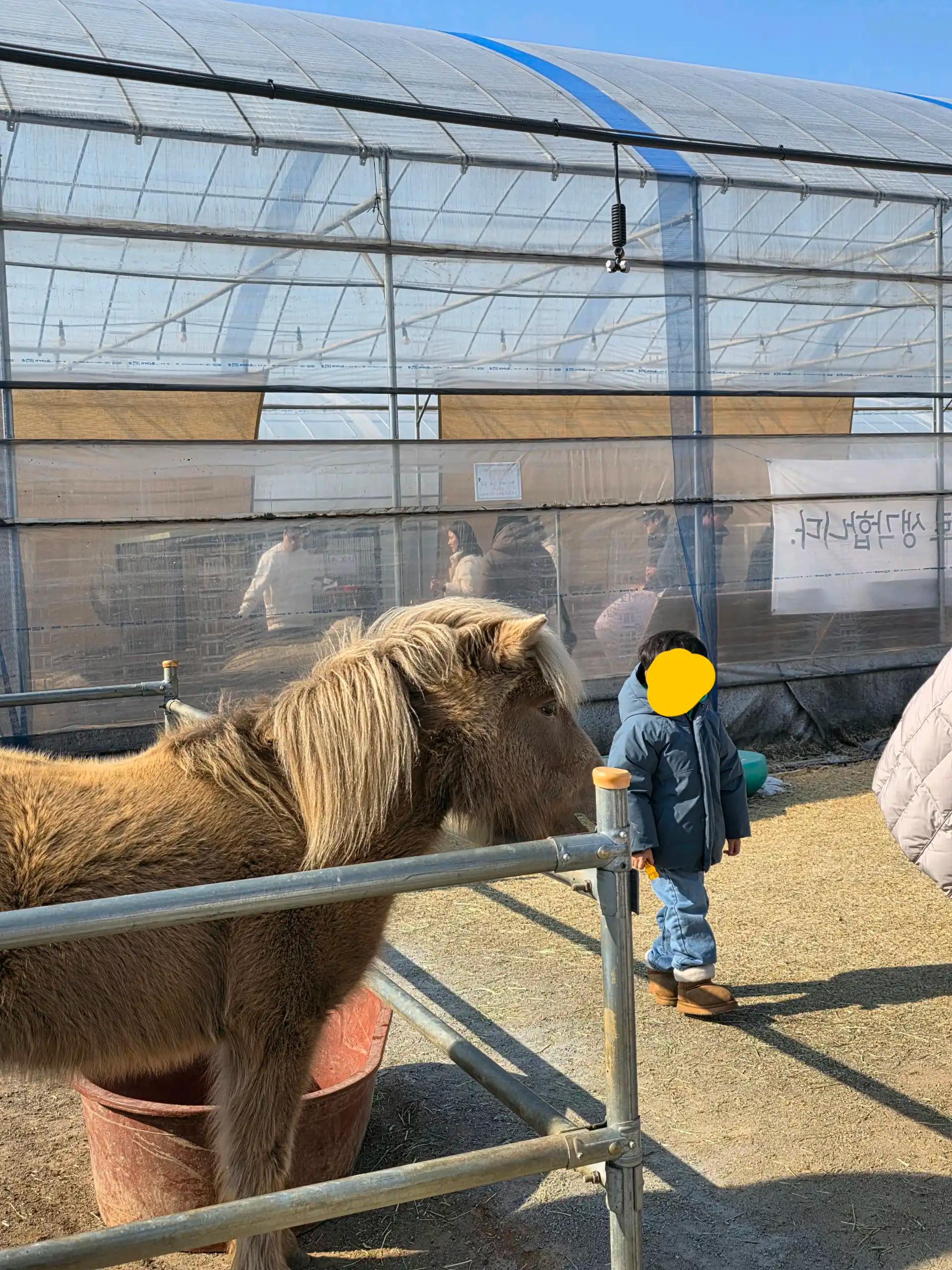 크루톡 이미지 4