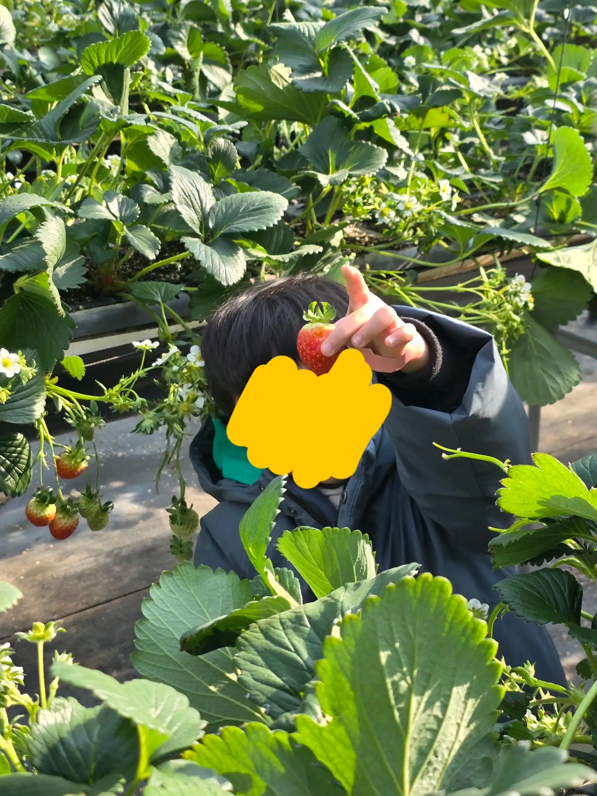 크루톡 이미지 6