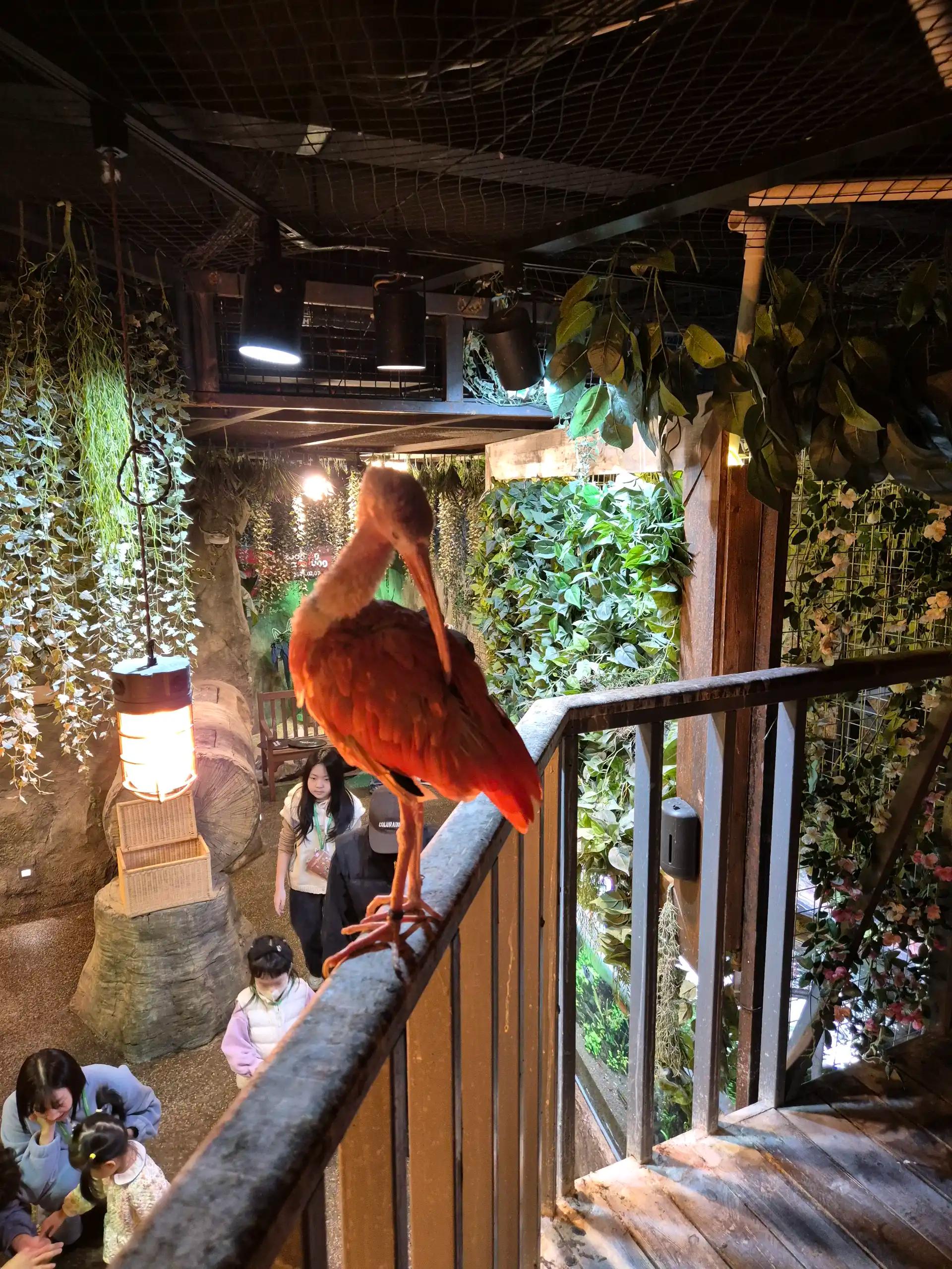 크루톡 이미지 2