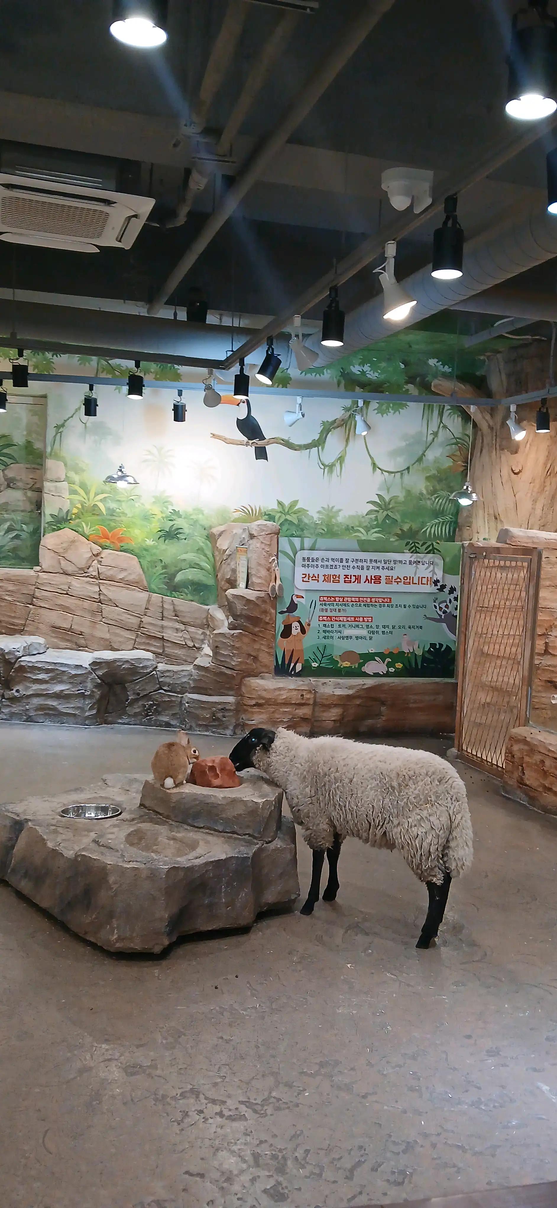 크루톡 이미지 2