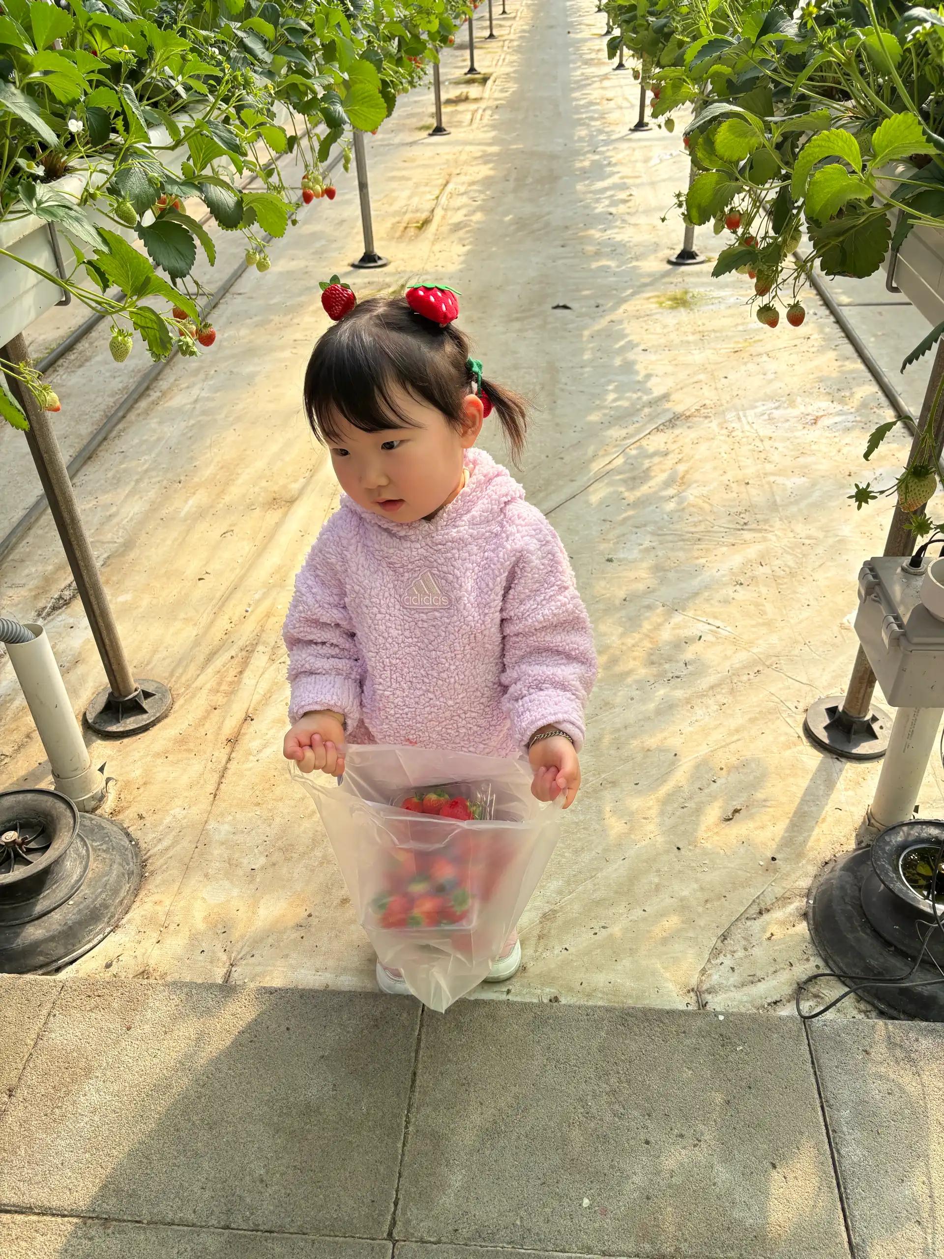 크루톡 이미지 2