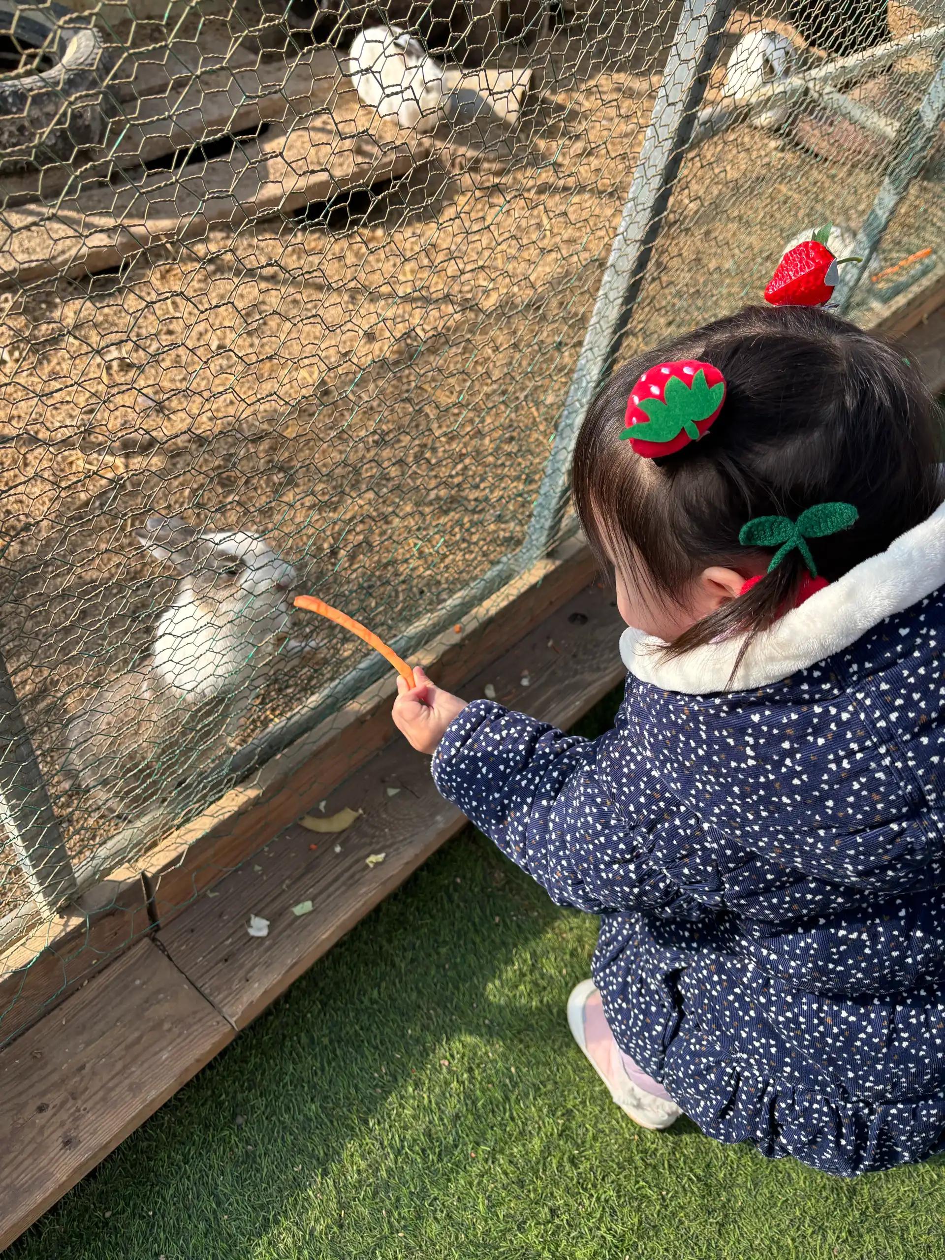 크루톡 이미지 5