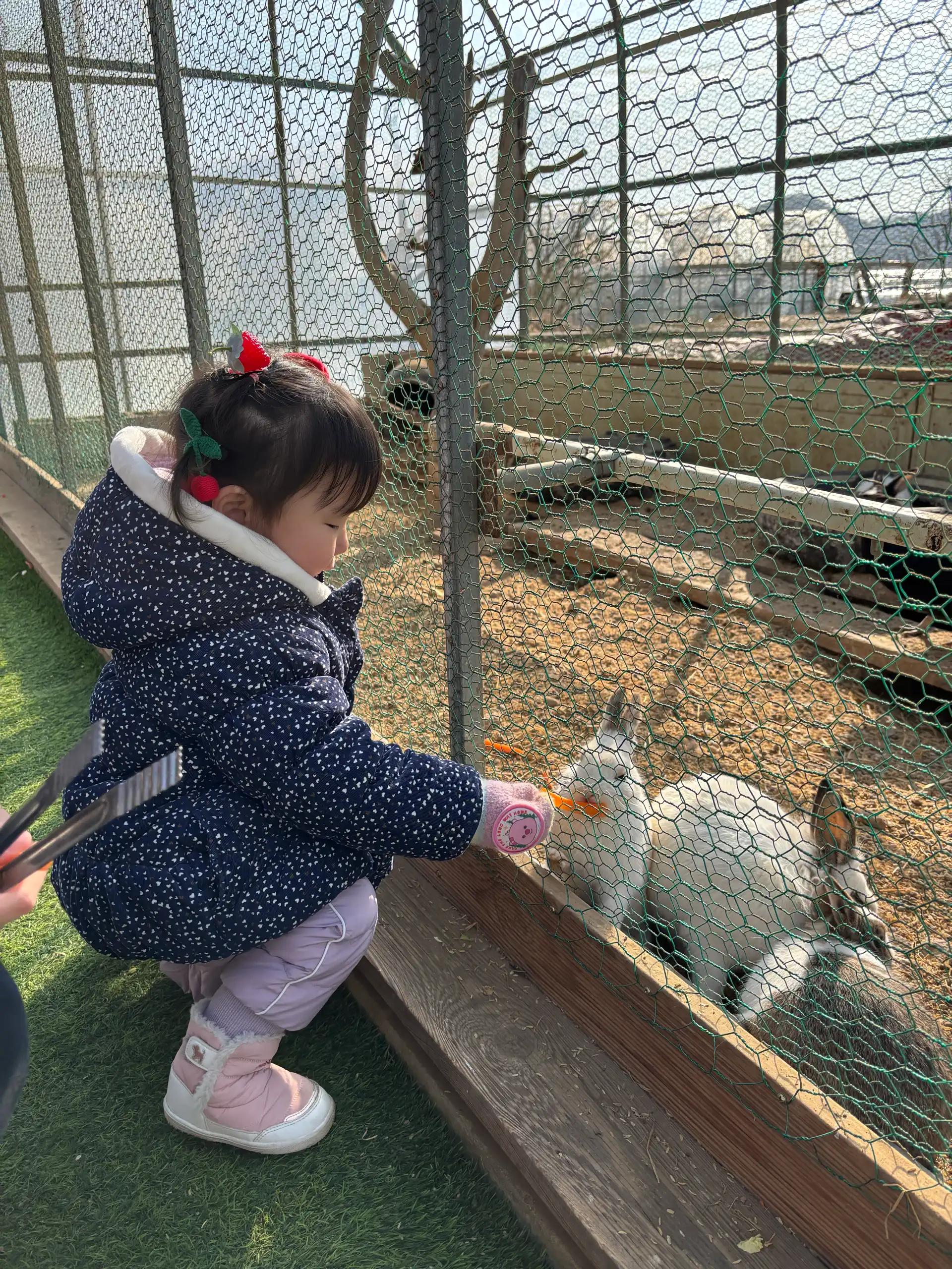 크루톡 이미지 6