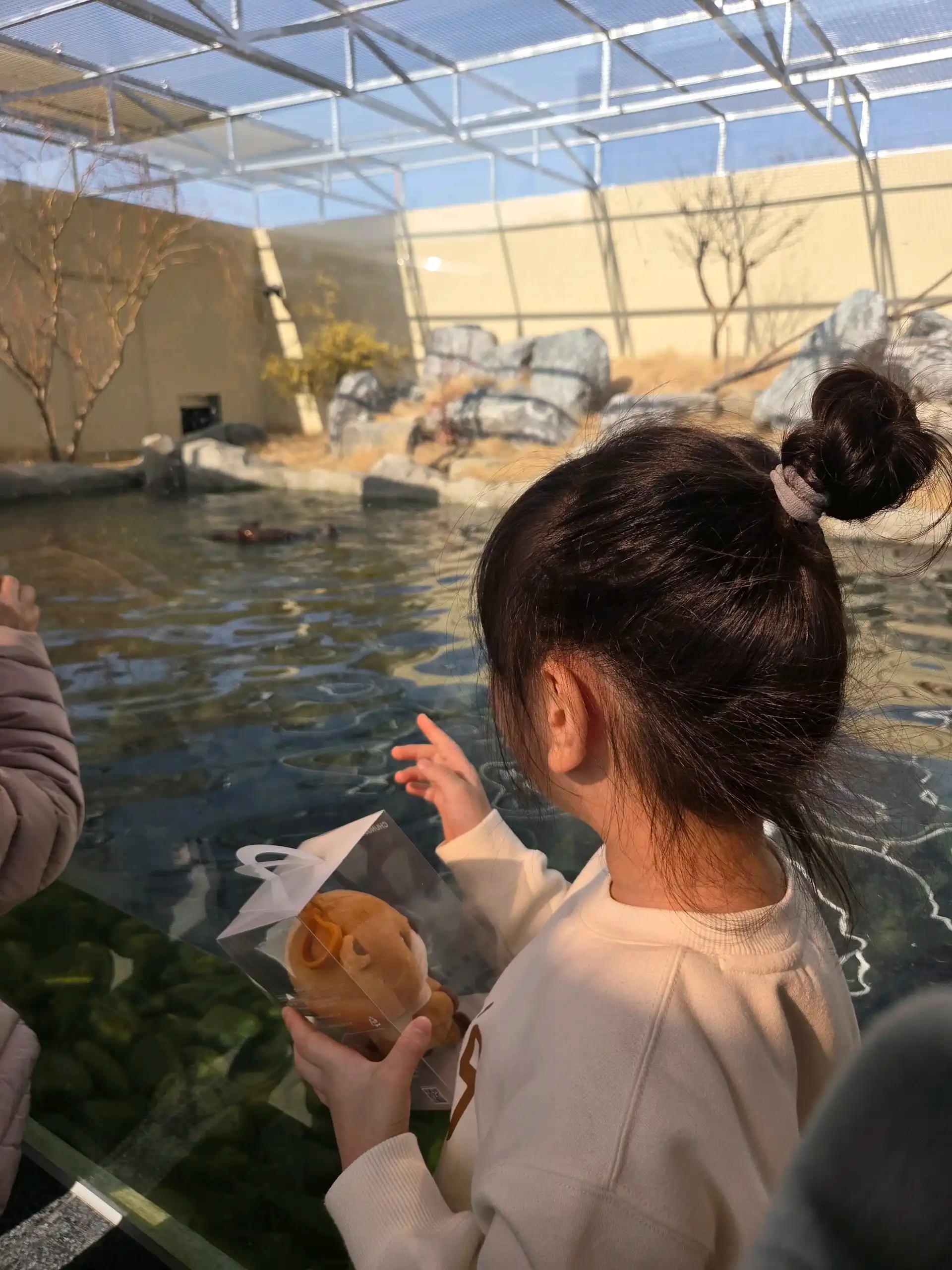 크루톡 이미지 1