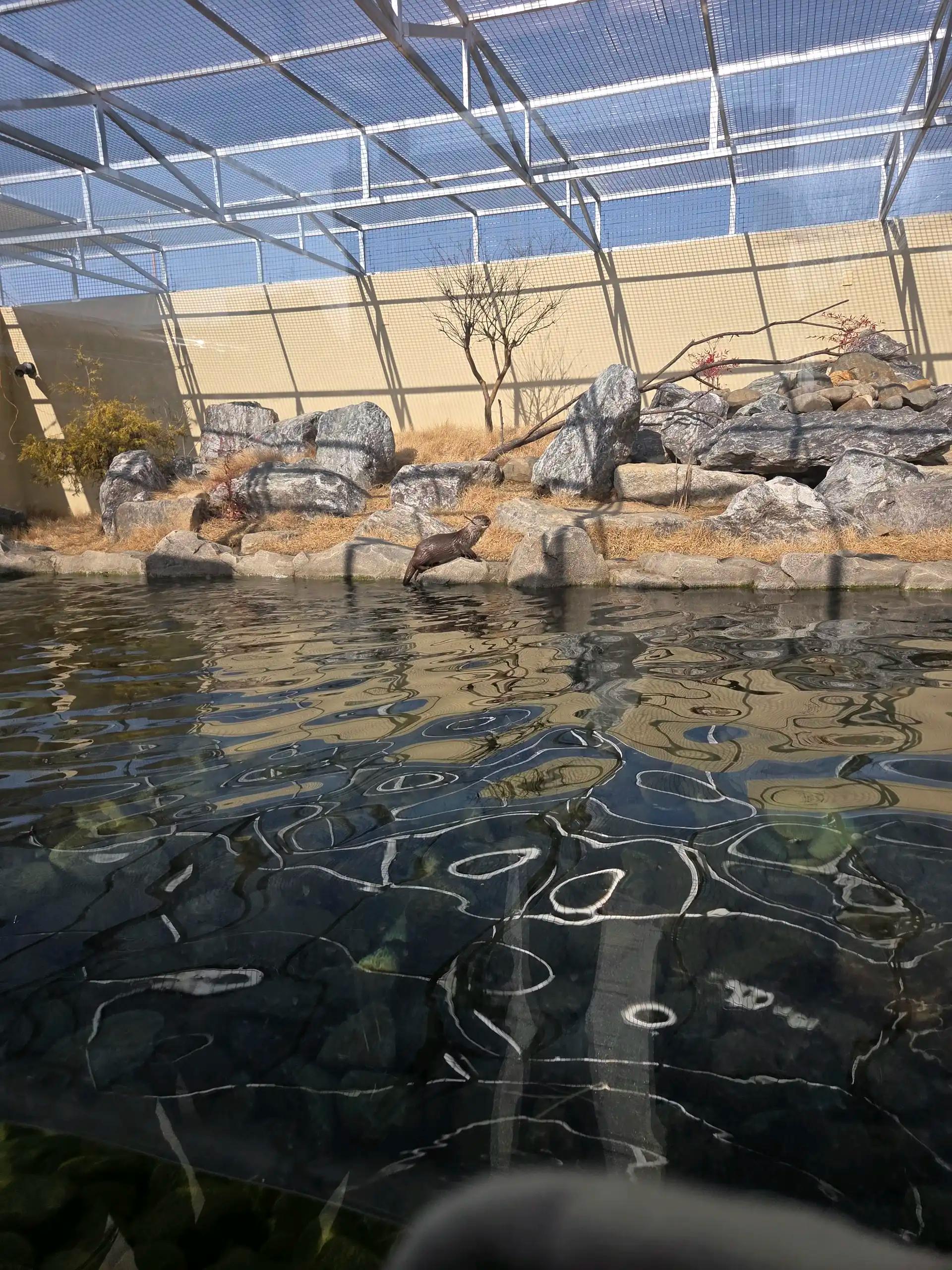 크루톡 이미지 5