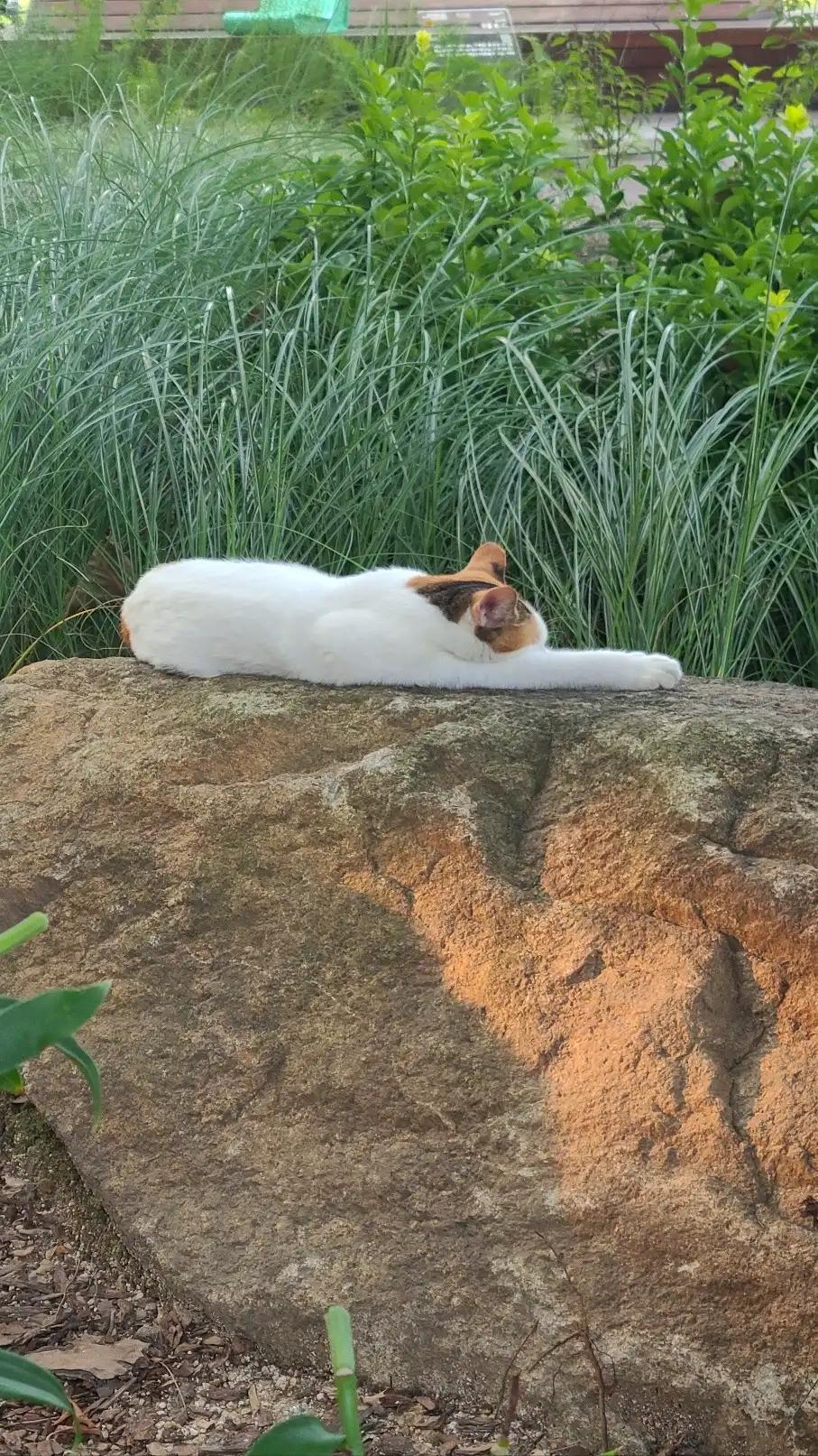 크루톡 이미지 3