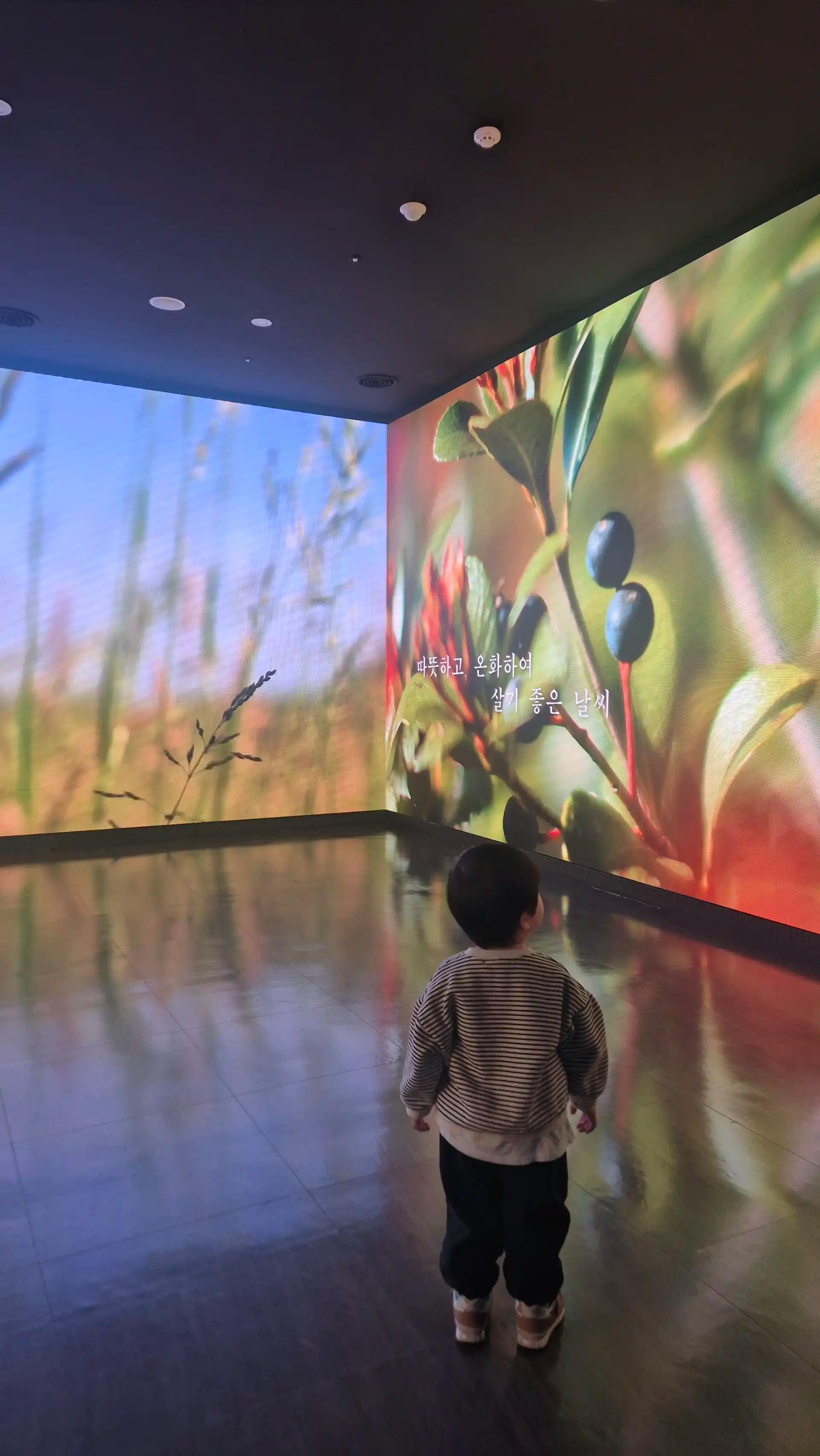 크루톡 이미지 2