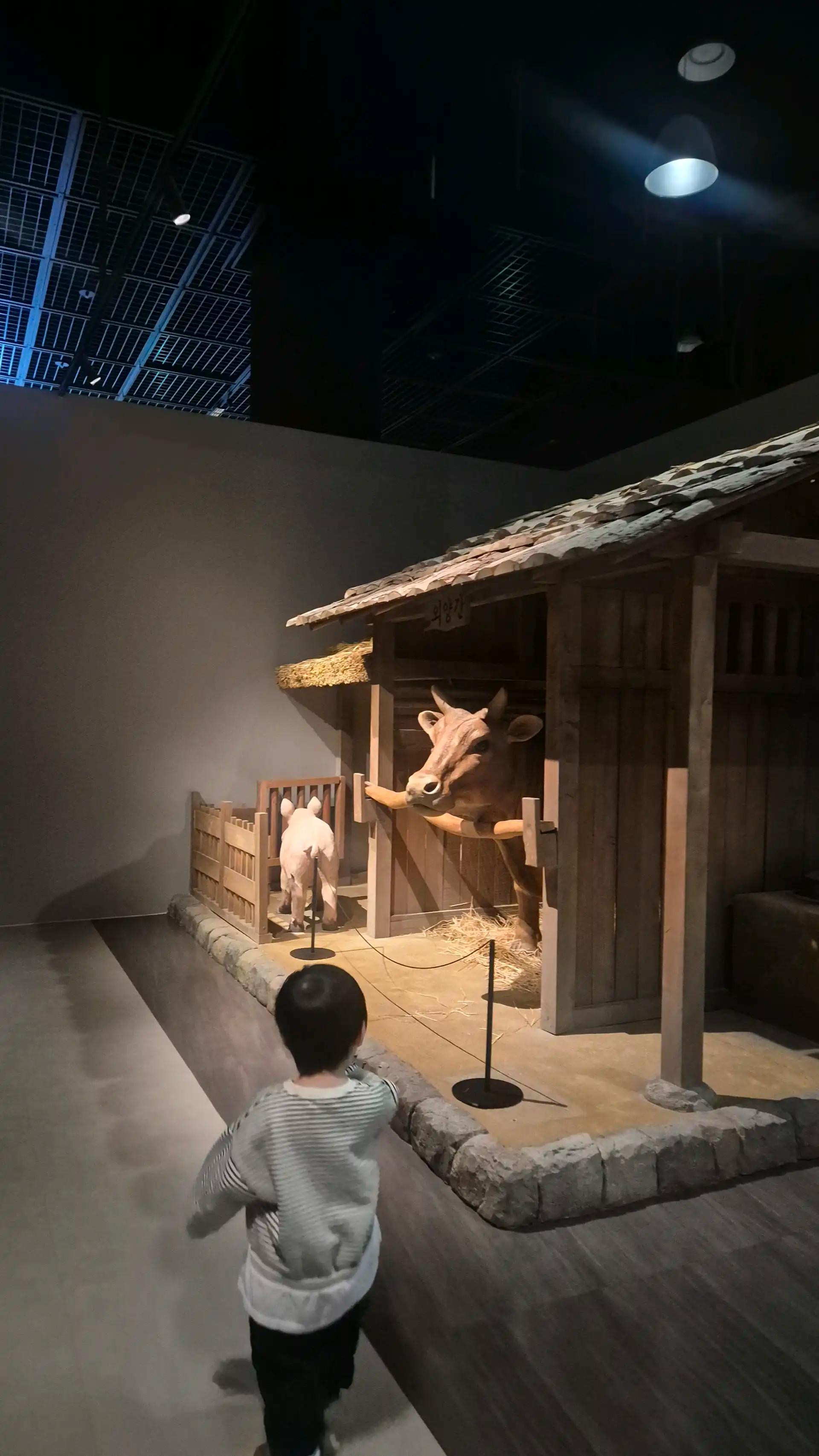 크루톡 이미지 4