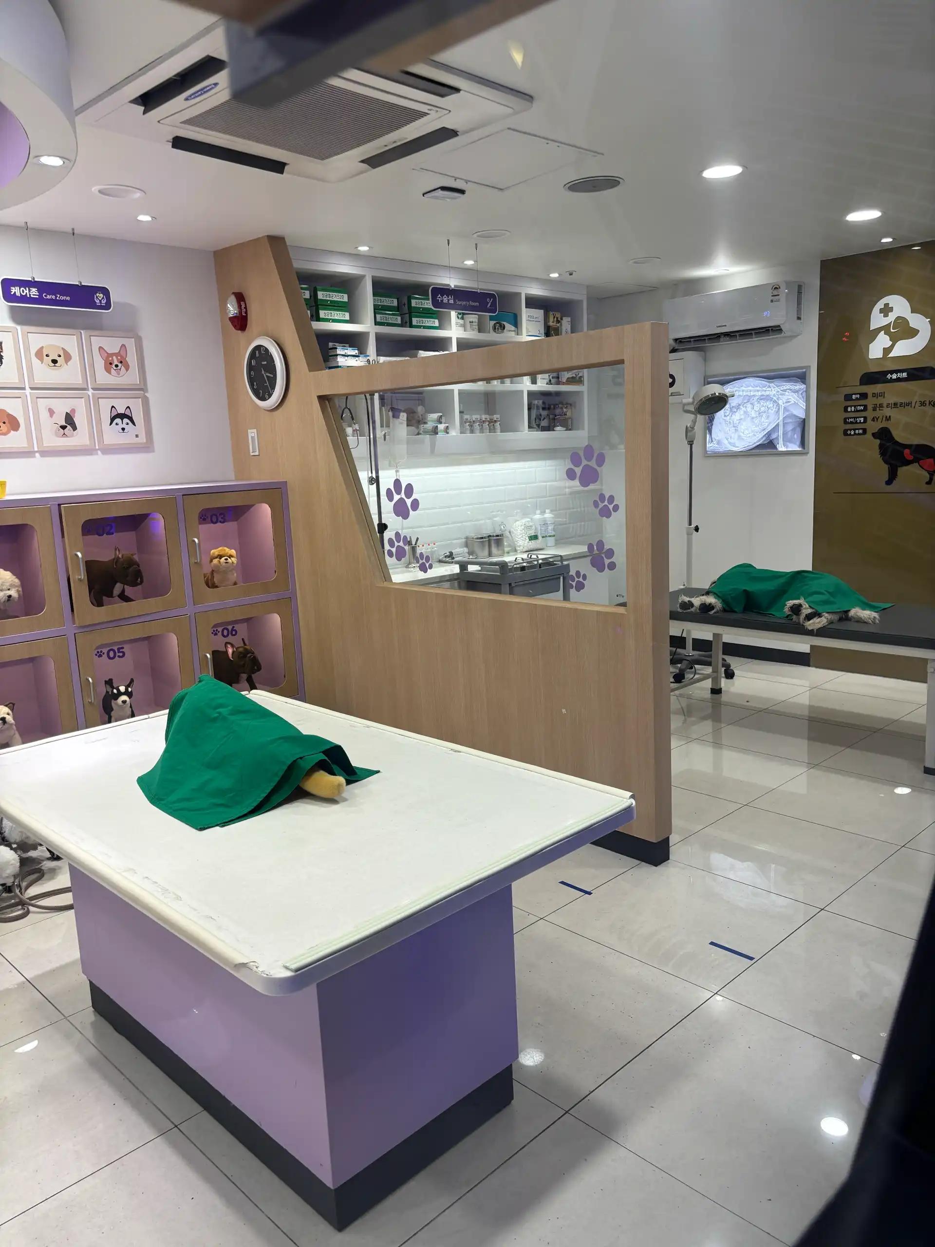 크루톡 이미지 4