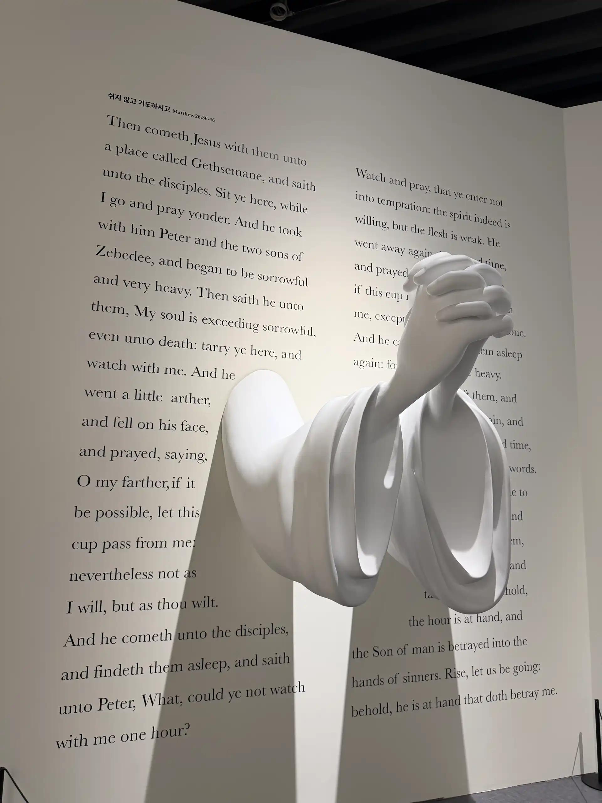 크루톡 이미지 2