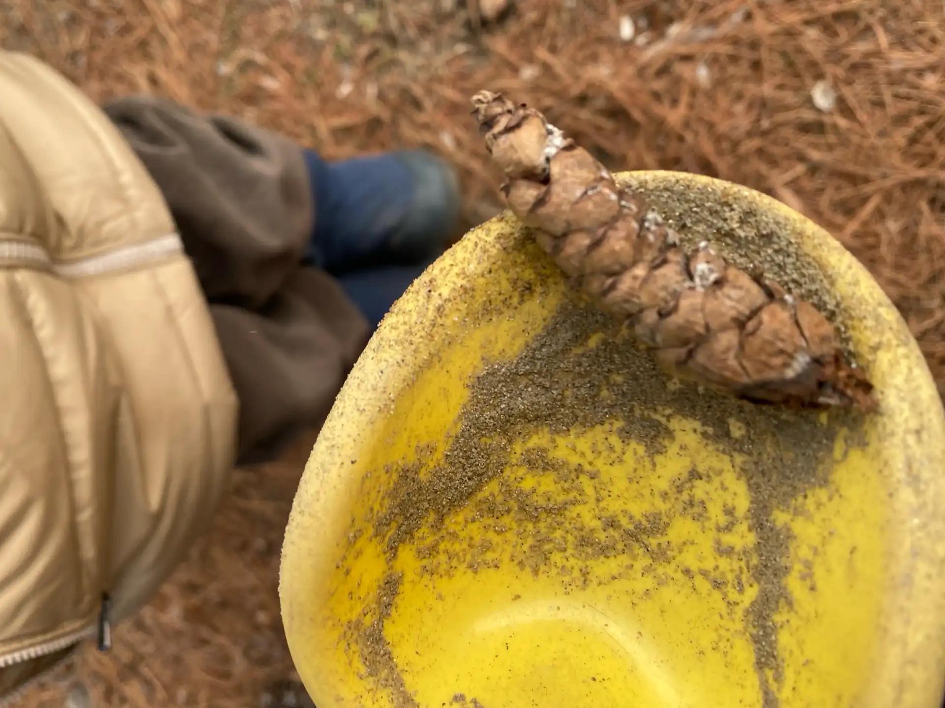 크루톡 이미지 3