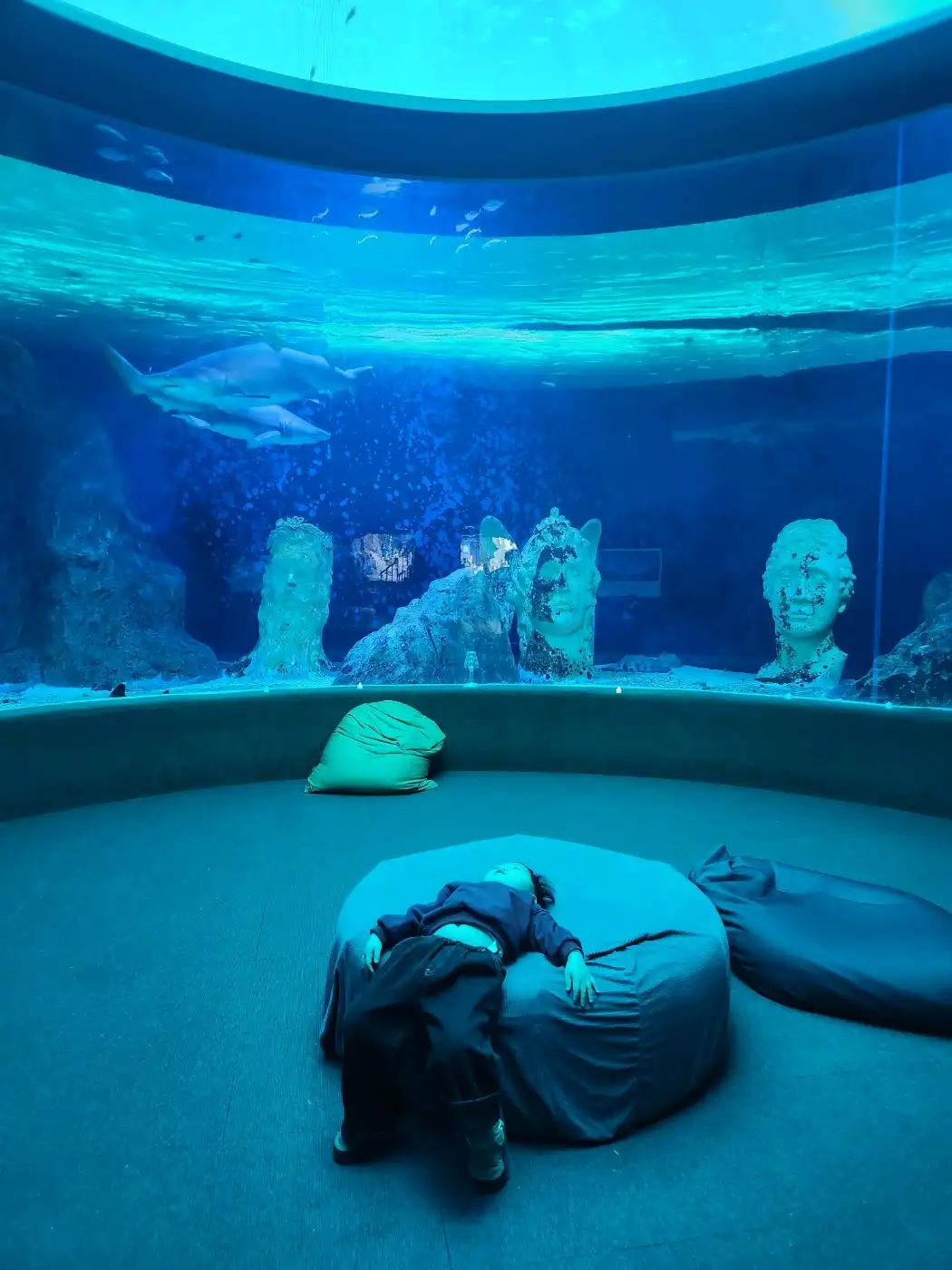 크루톡 이미지 1