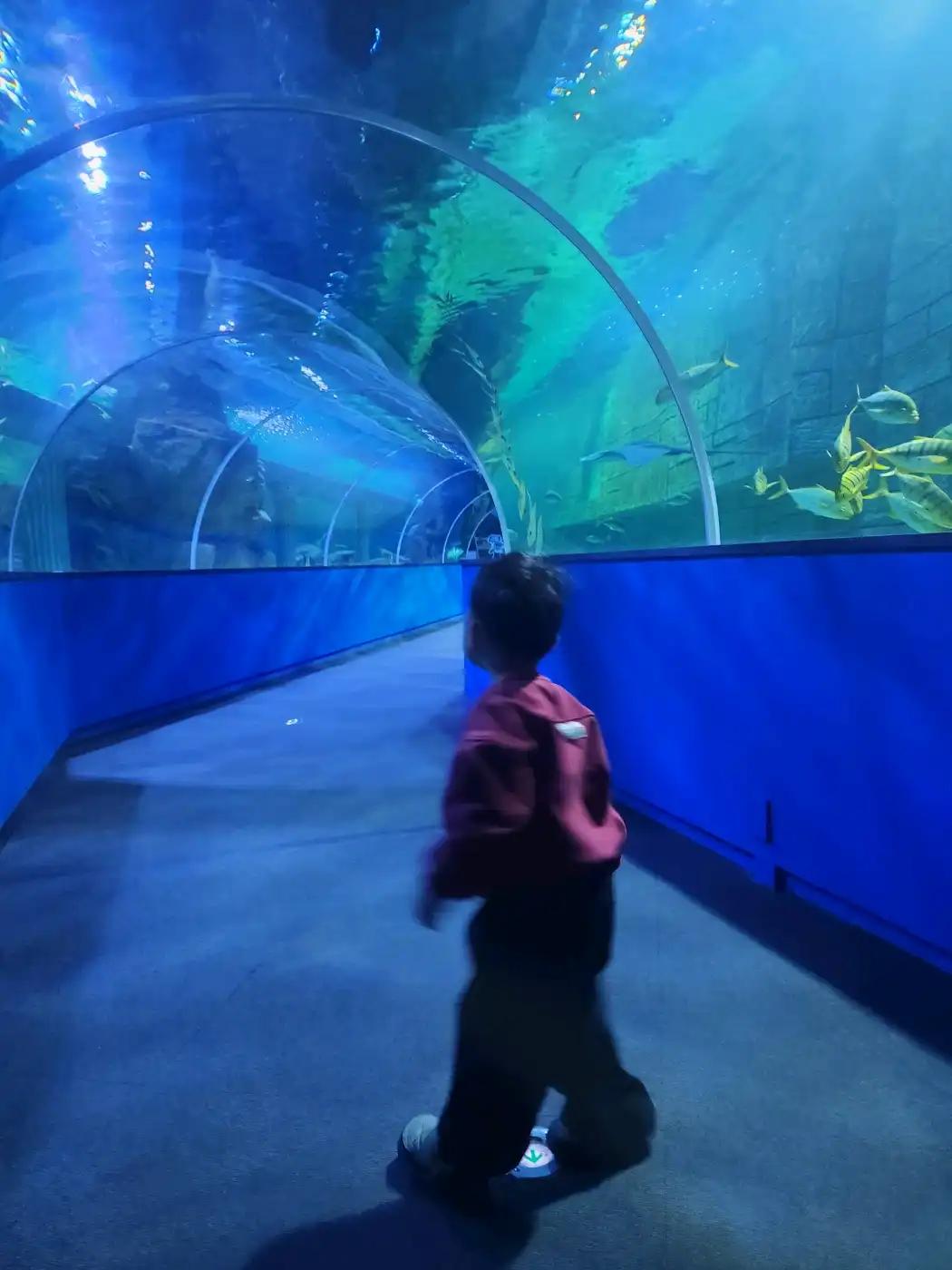 크루톡 이미지 2