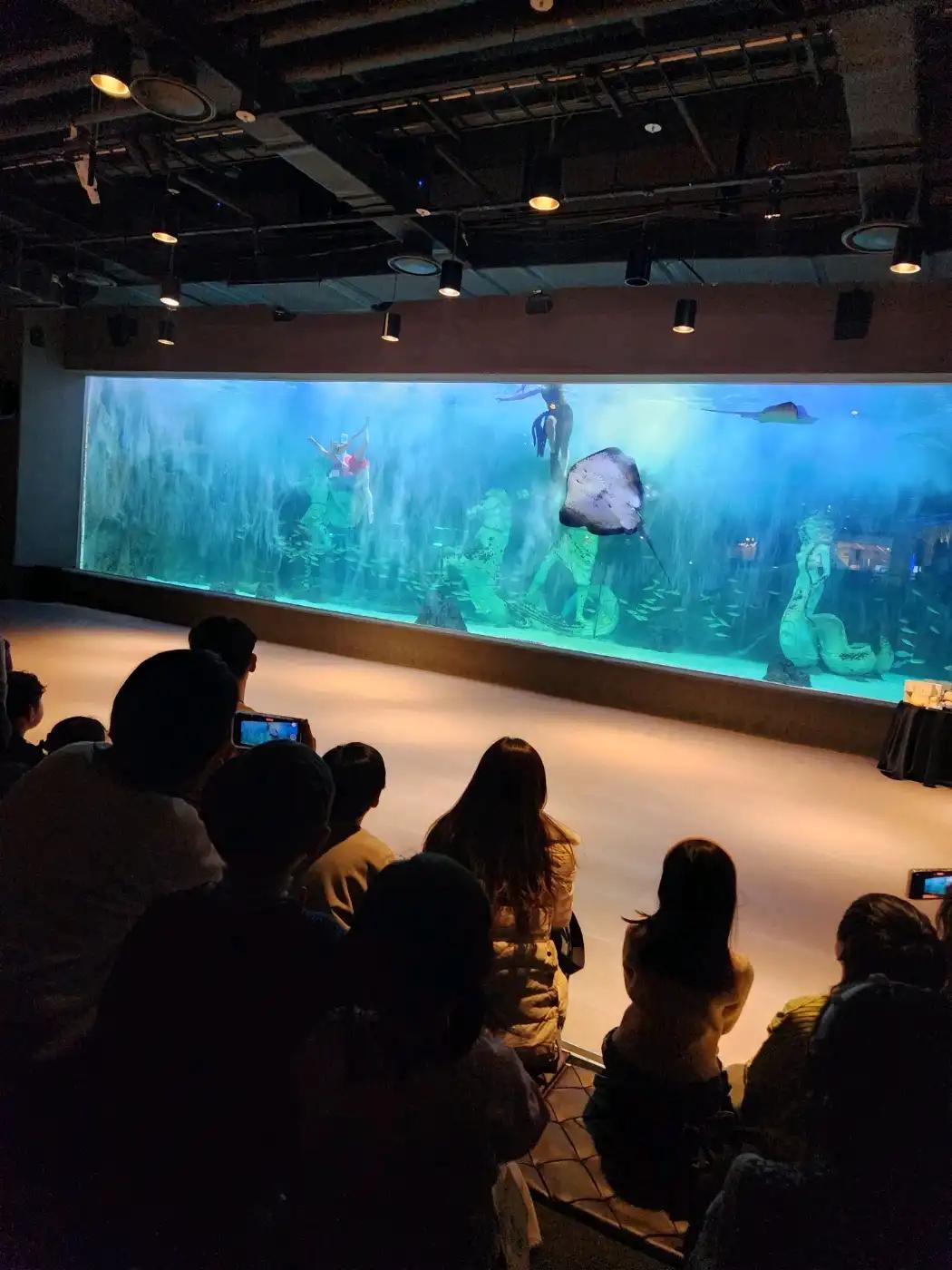 크루톡 이미지 3