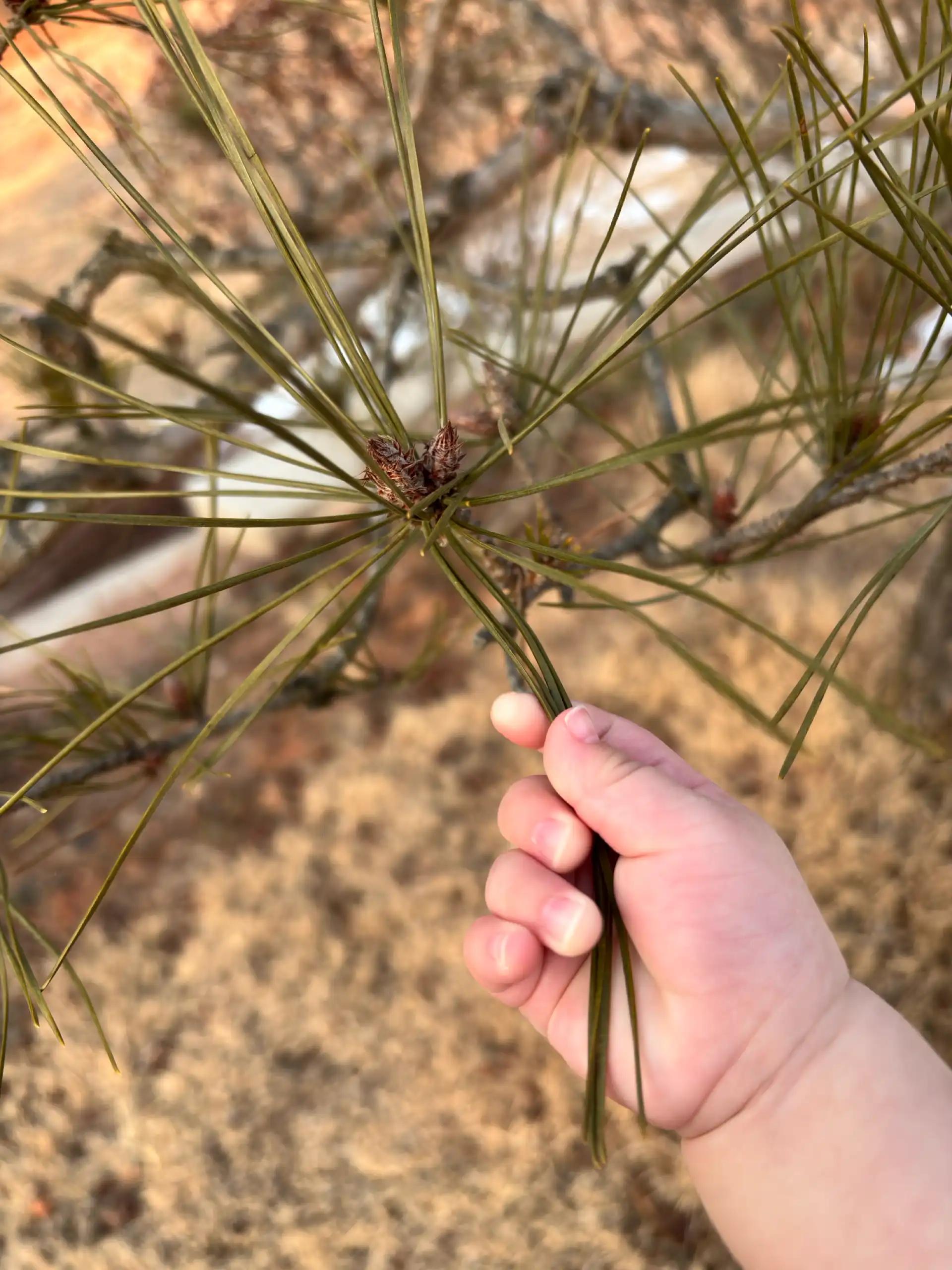 크루톡 이미지 1