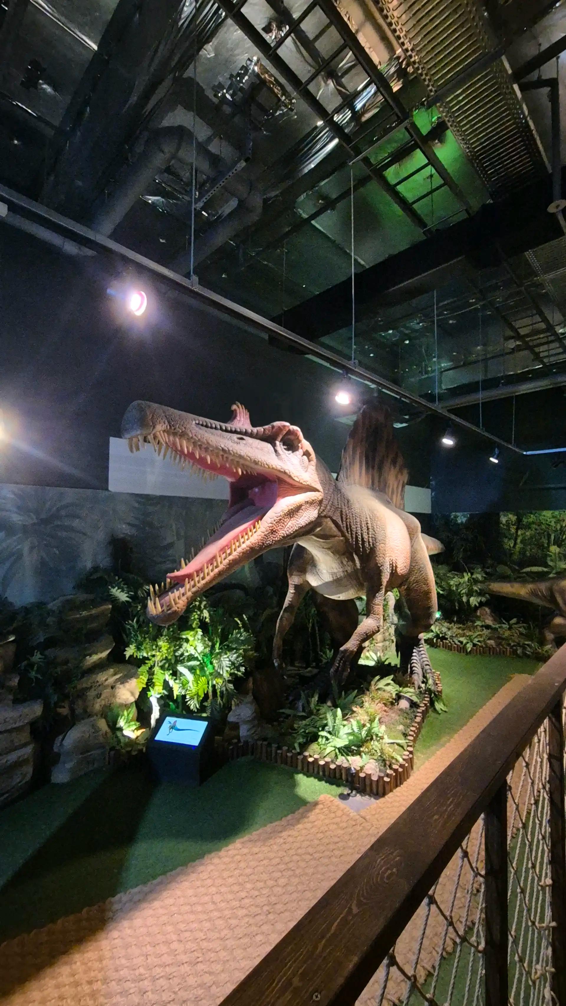 크루톡 이미지 4