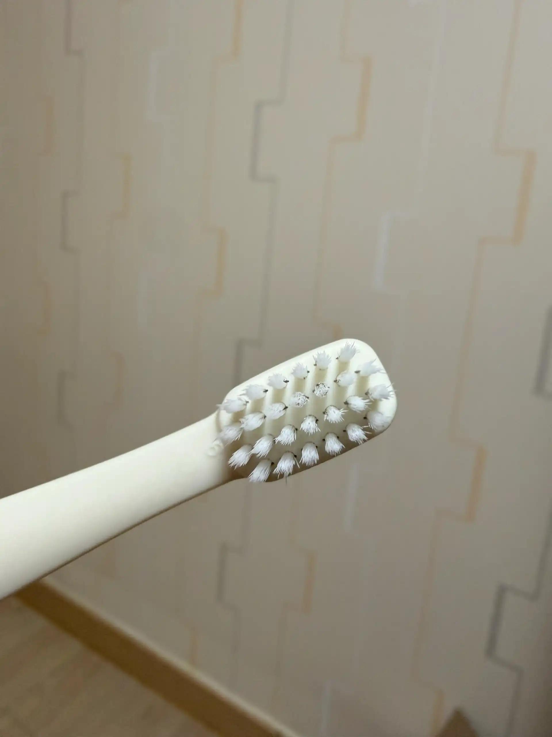 크루톡 이미지 11