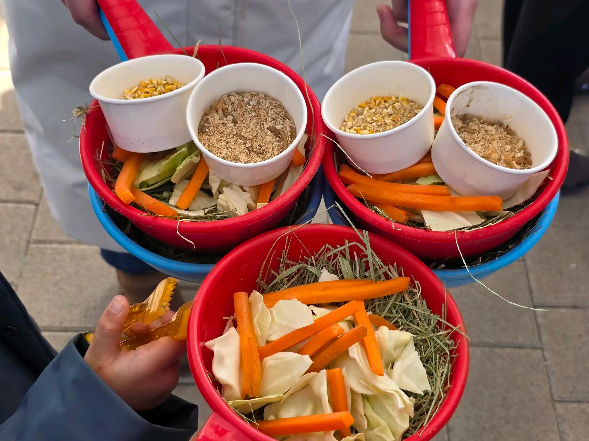 크루톡 이미지 6