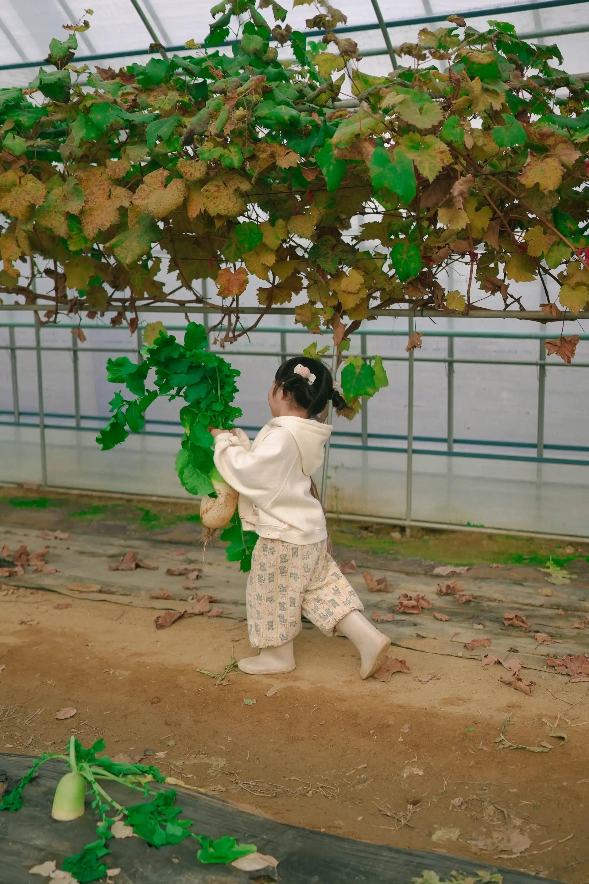 크루톡 이미지 3