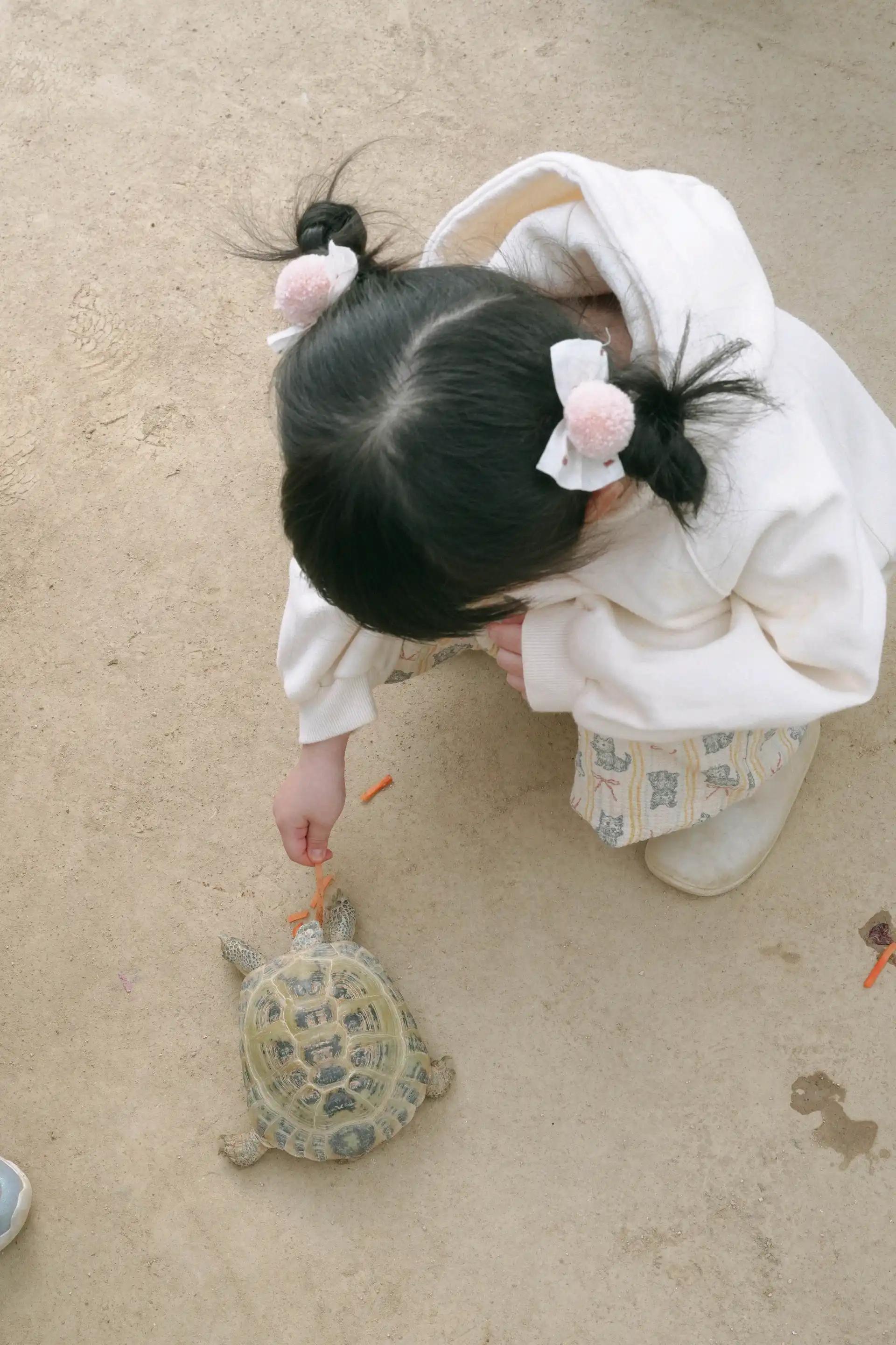 크루톡 이미지 4