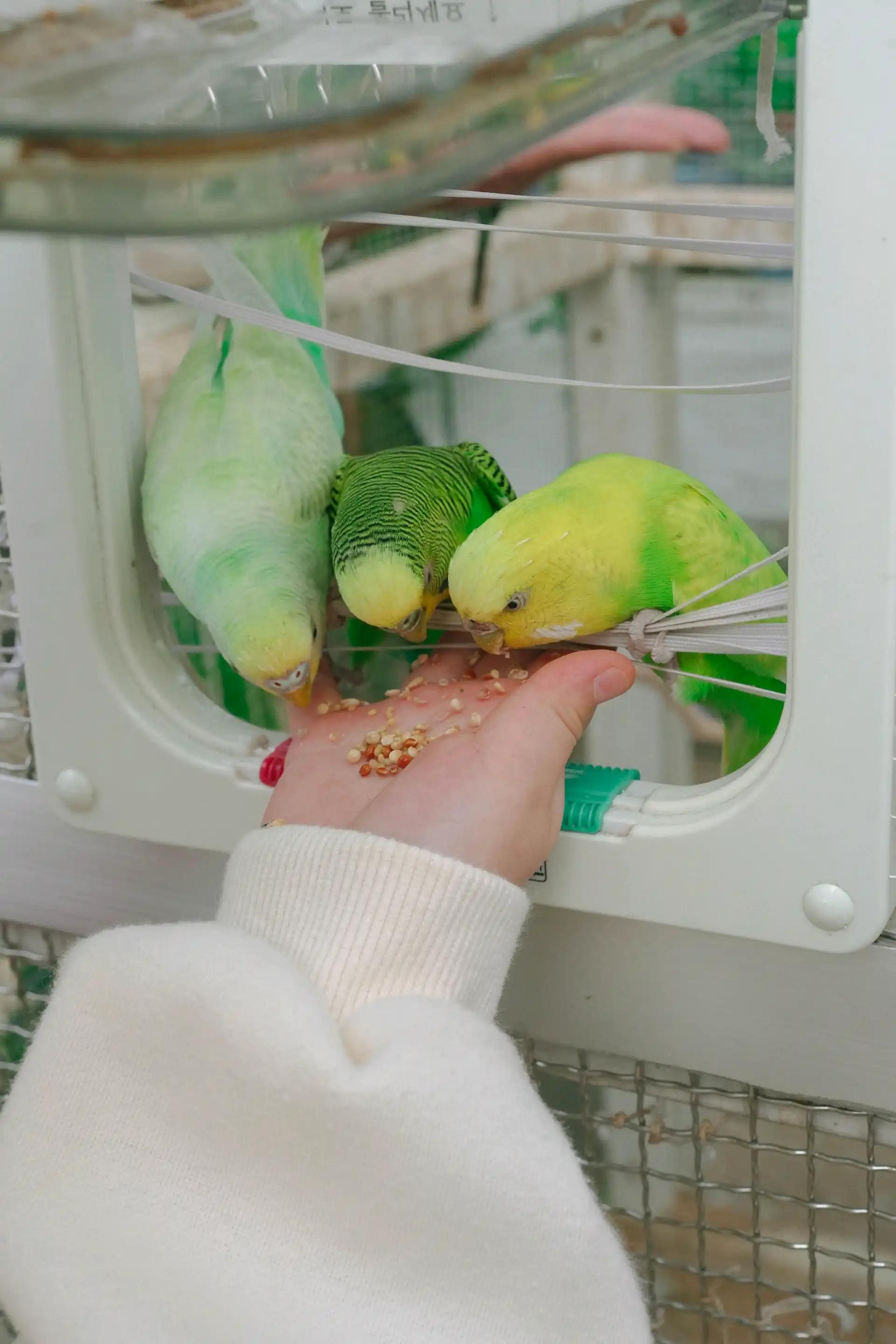 크루톡 이미지 6