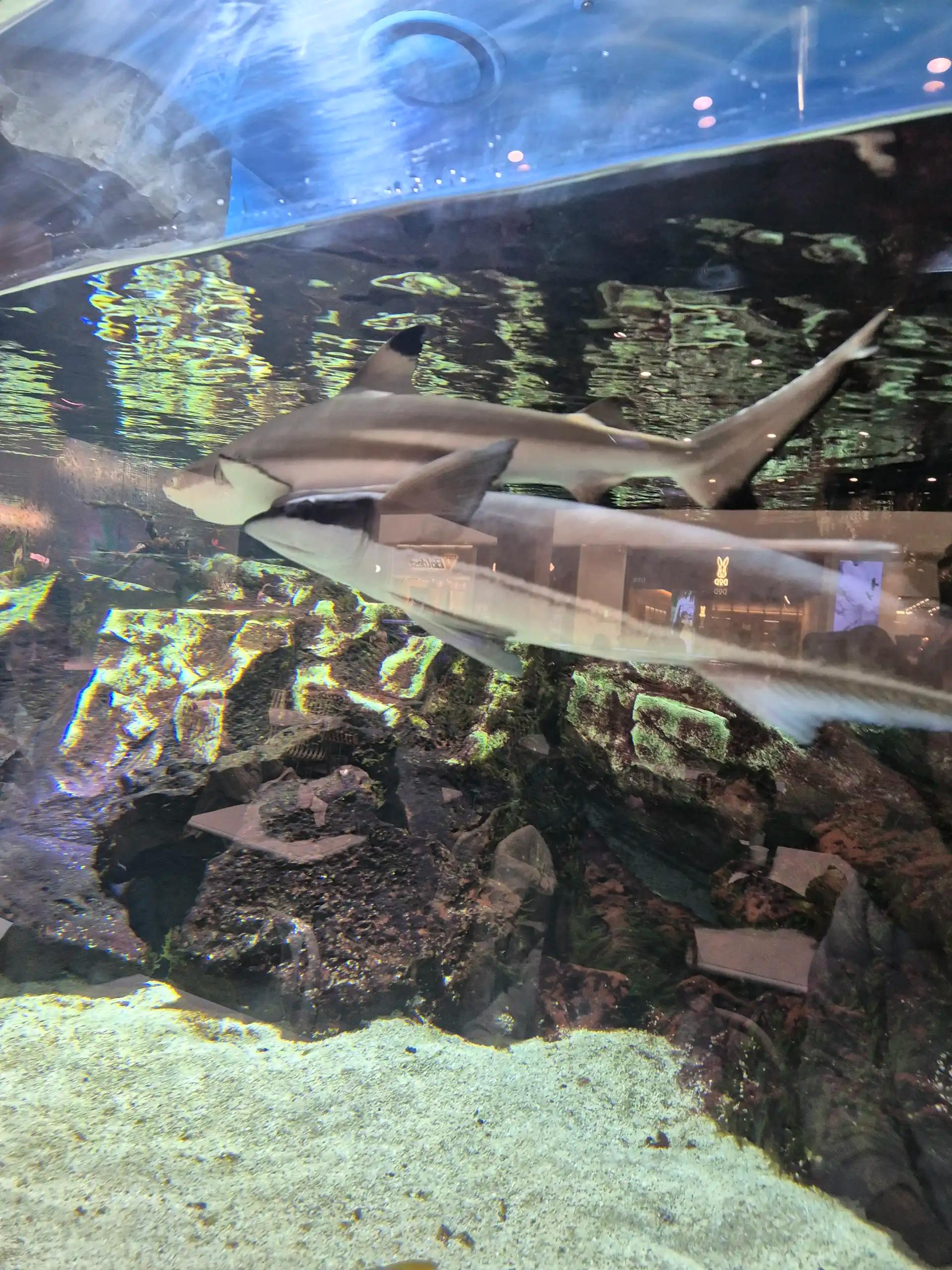 크루톡 이미지 3