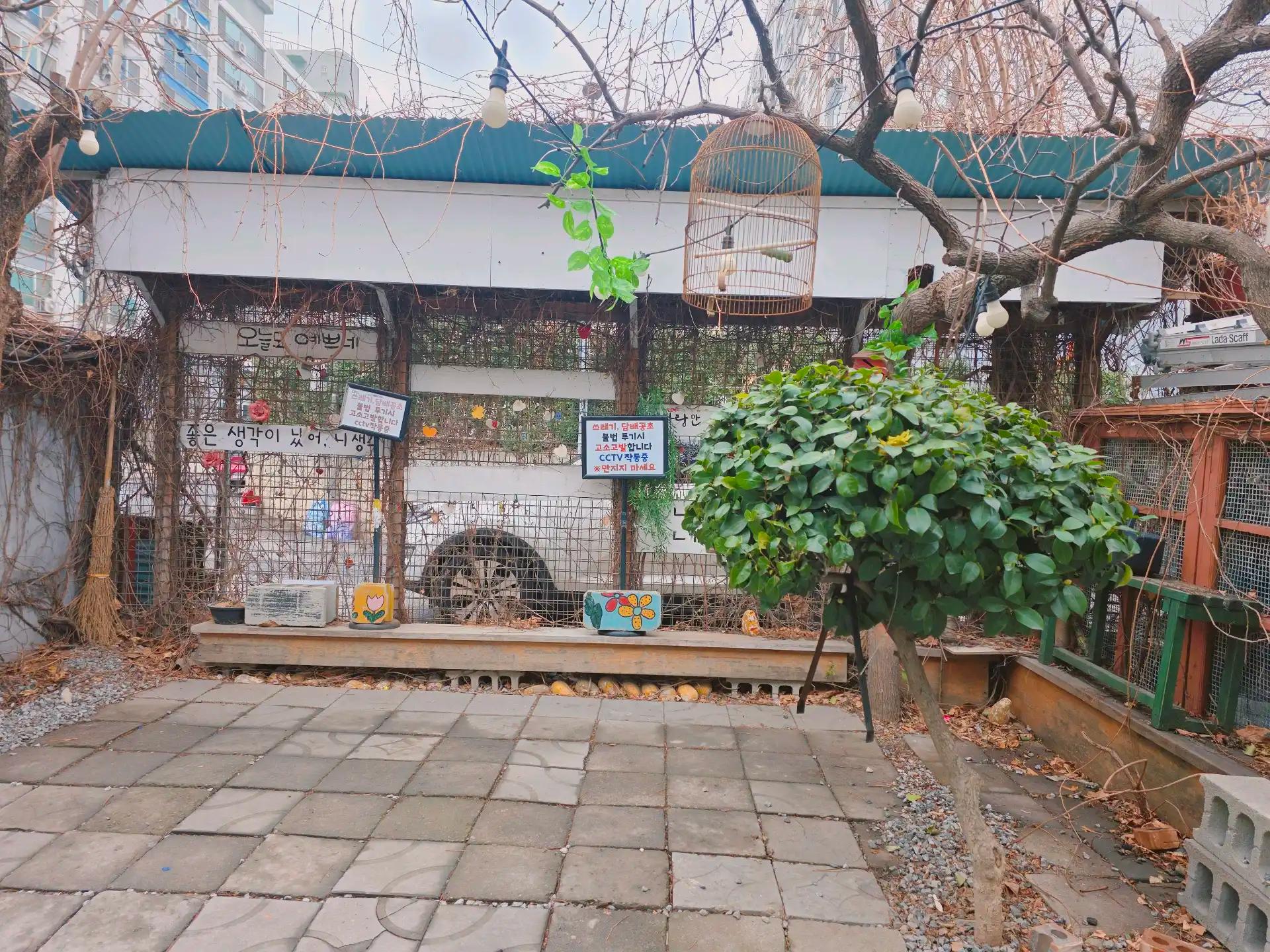 크루톡 이미지 10