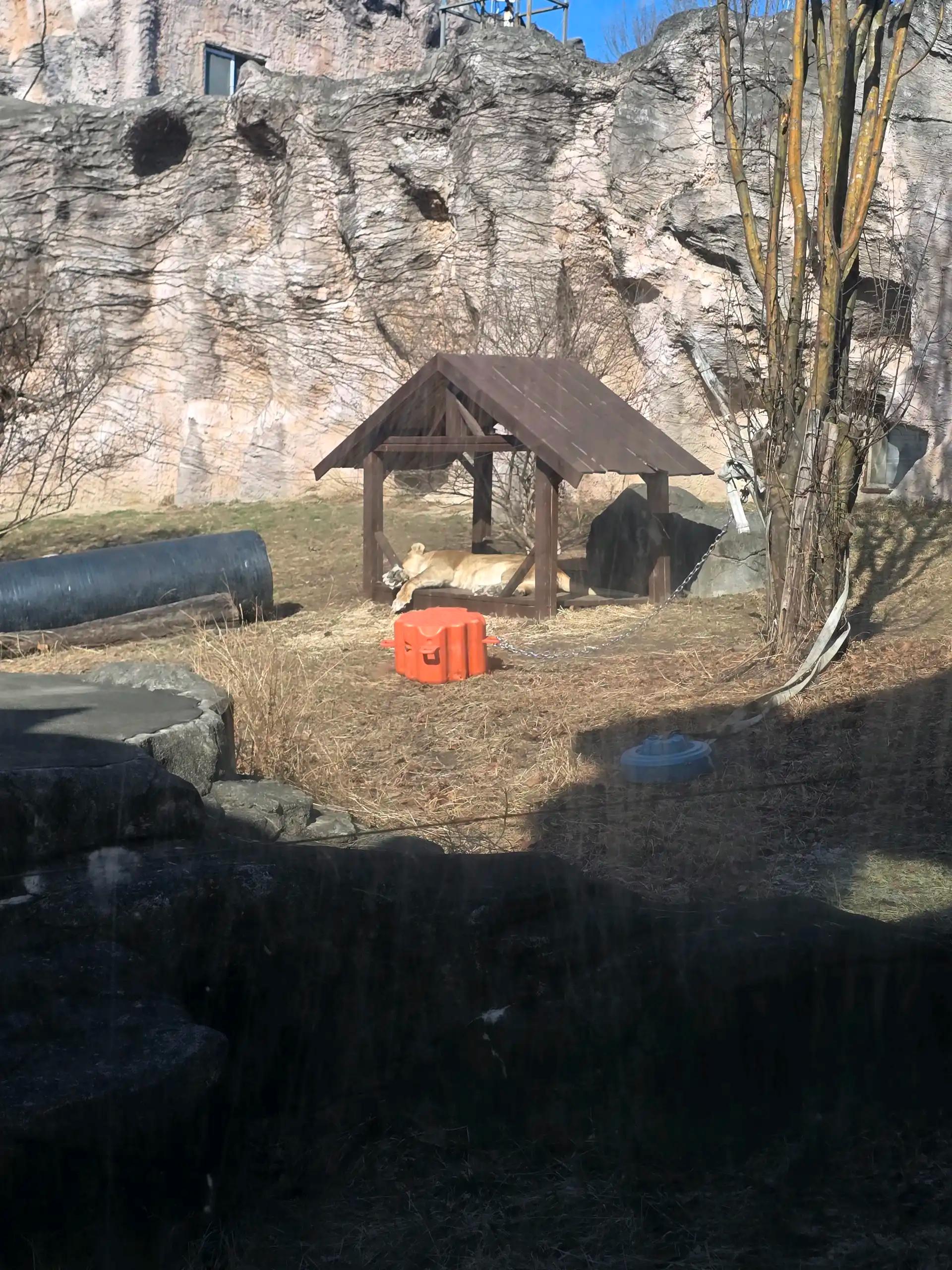 크루톡 이미지 2