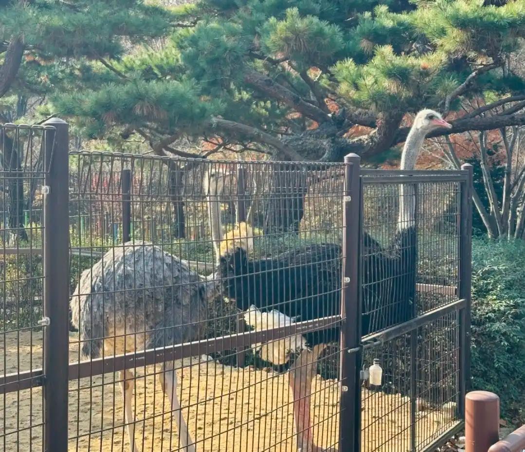 크루톡 이미지 2