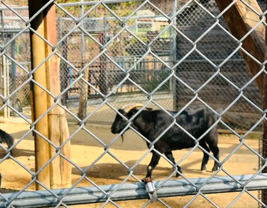 크루톡 이미지 3