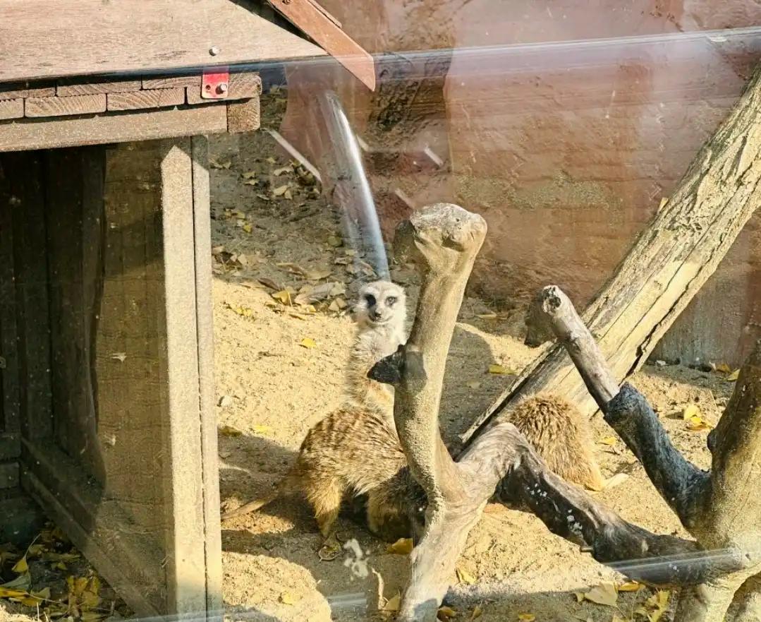 크루톡 이미지 4