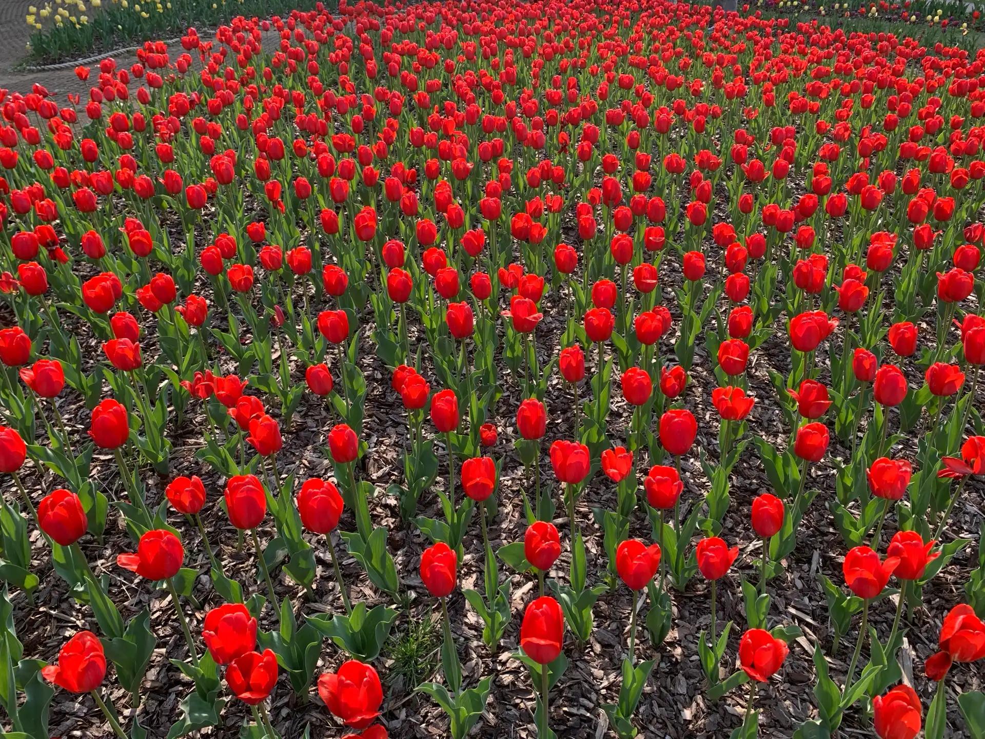 크루톡 이미지 4